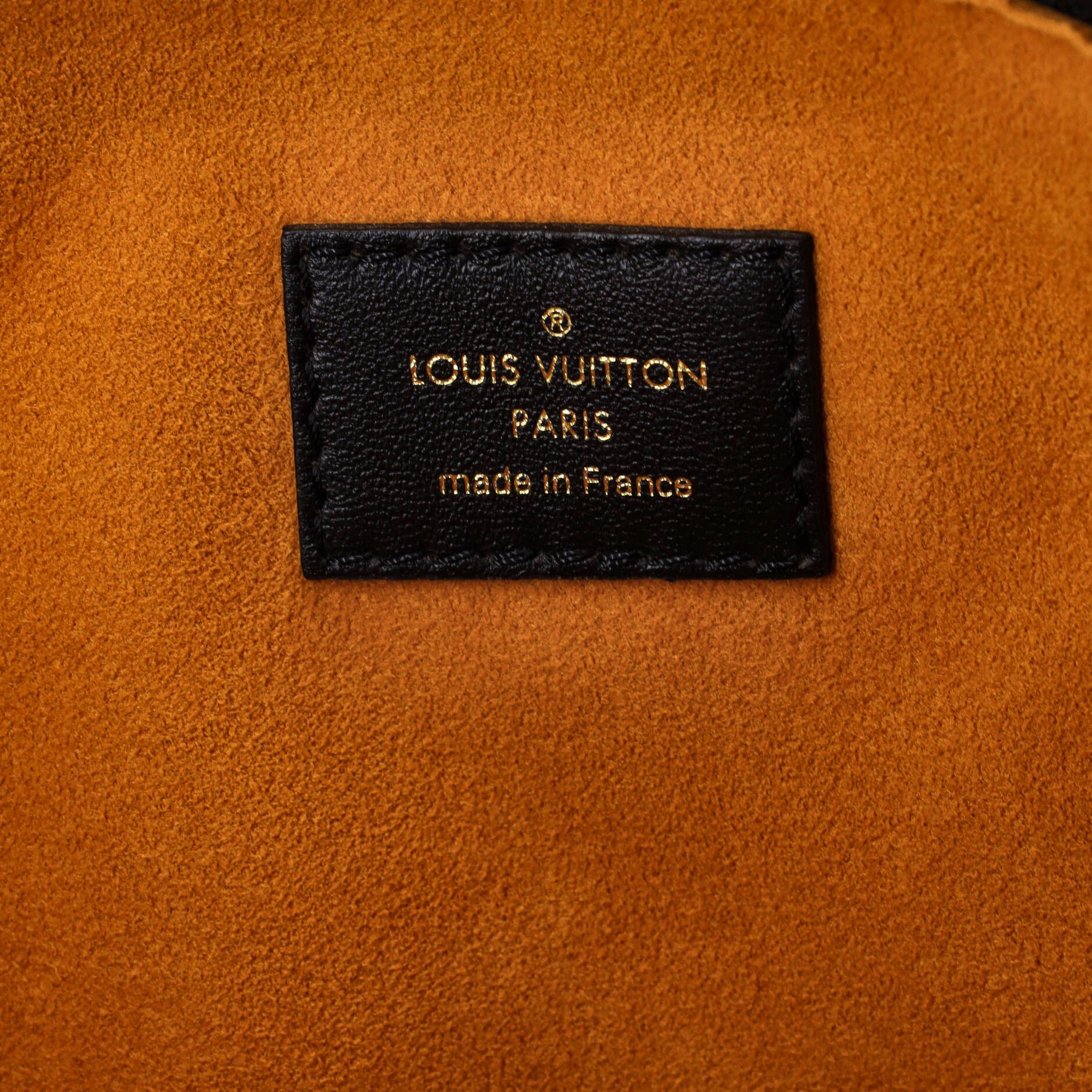 Louis Vuitton Coussin Bag Size ONE SIZE - 7 Thumbnail
