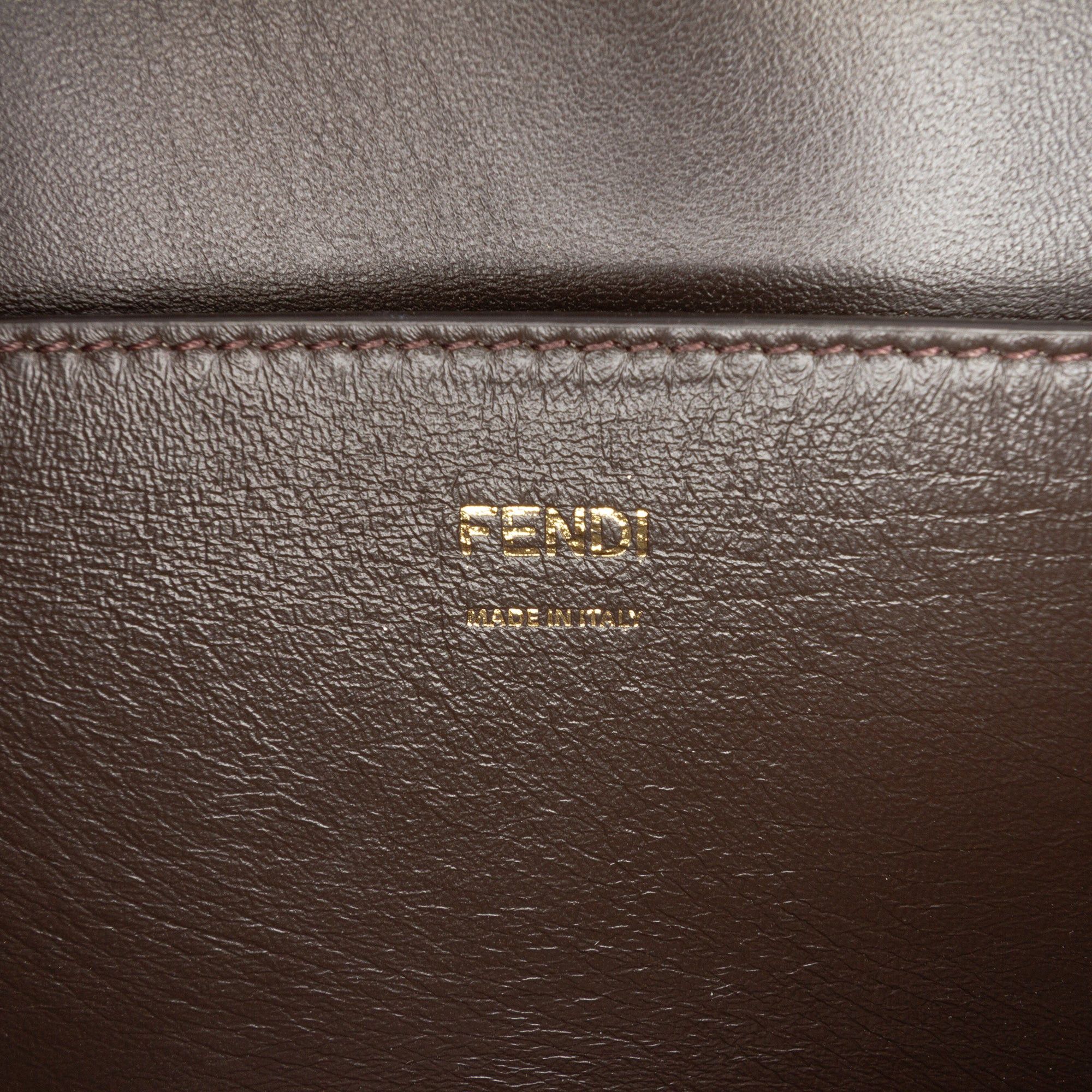 Fendi Calfskin Vitello King Nubuck Pequin Karligraphy Pocket Shoulder Bag Size ONE SIZE - 5 Thumbnail