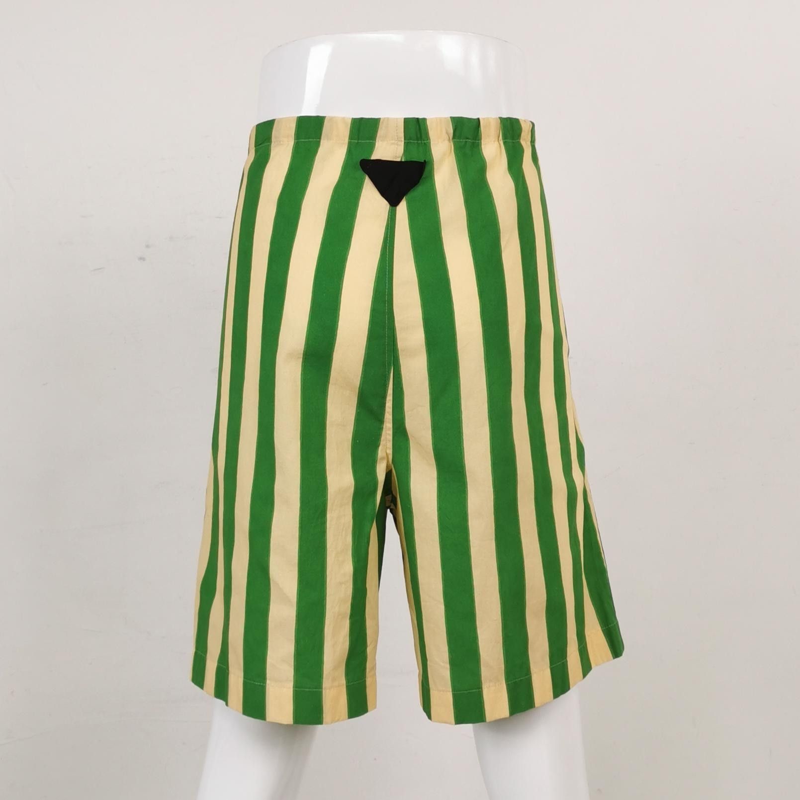 Prada Prada Green Striped Button-Fly Shorts S Size US 26 / EU 42 - 4 Thumbnail