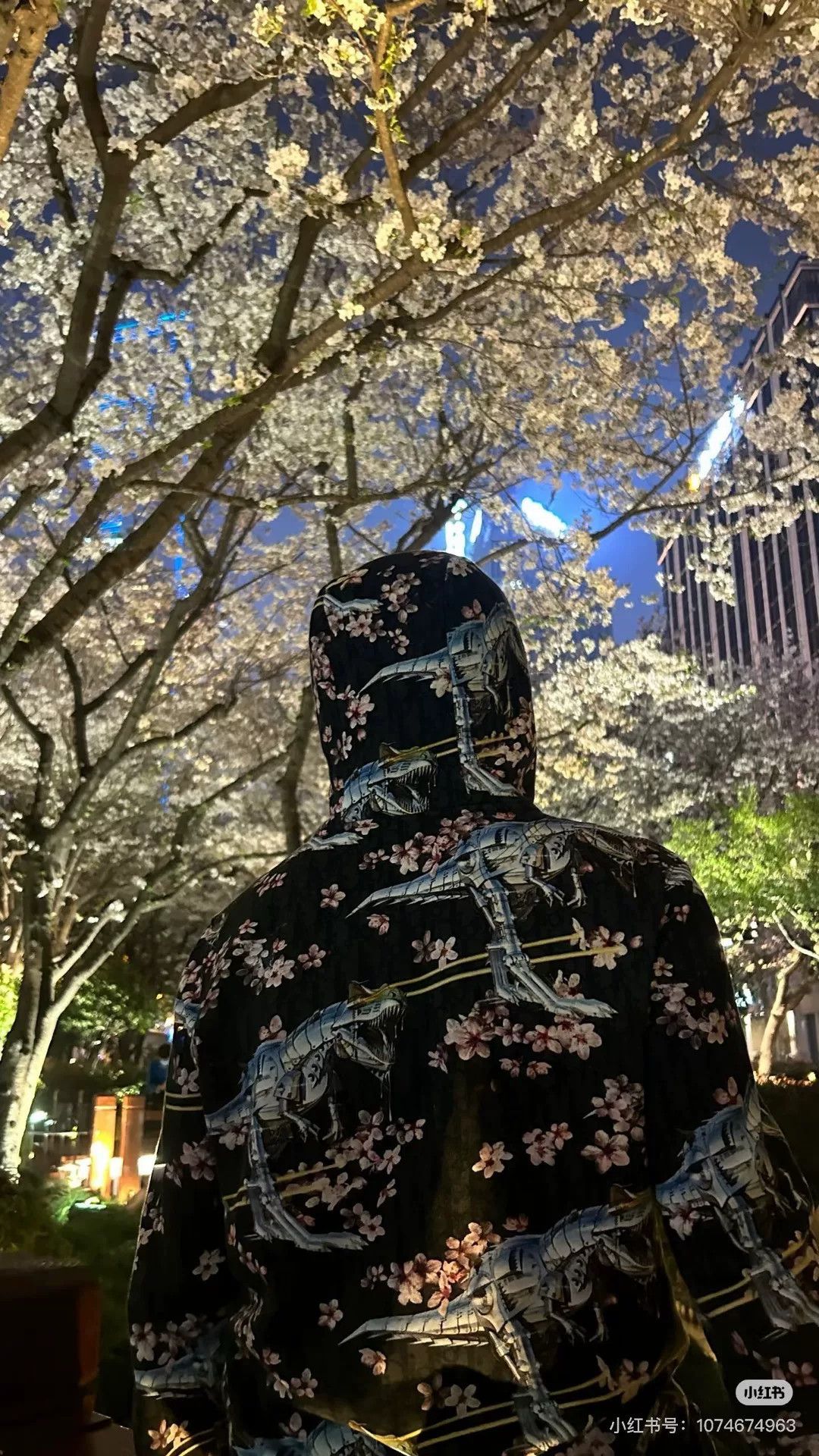 Dior Dior Sorayama Dino Cherry Blossom Hoodie Size US XS / EU 42 / 0 - 4 Thumbnail