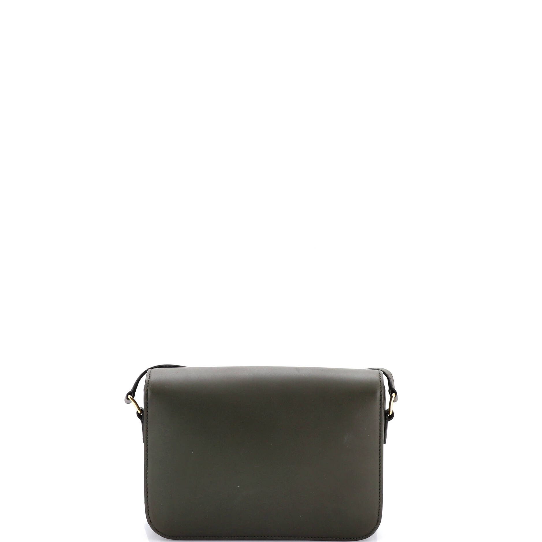 Celine Triomphe Shoulder Bag Smooth Calfskin Medium Size ONE SIZE - 2 Thumbnail