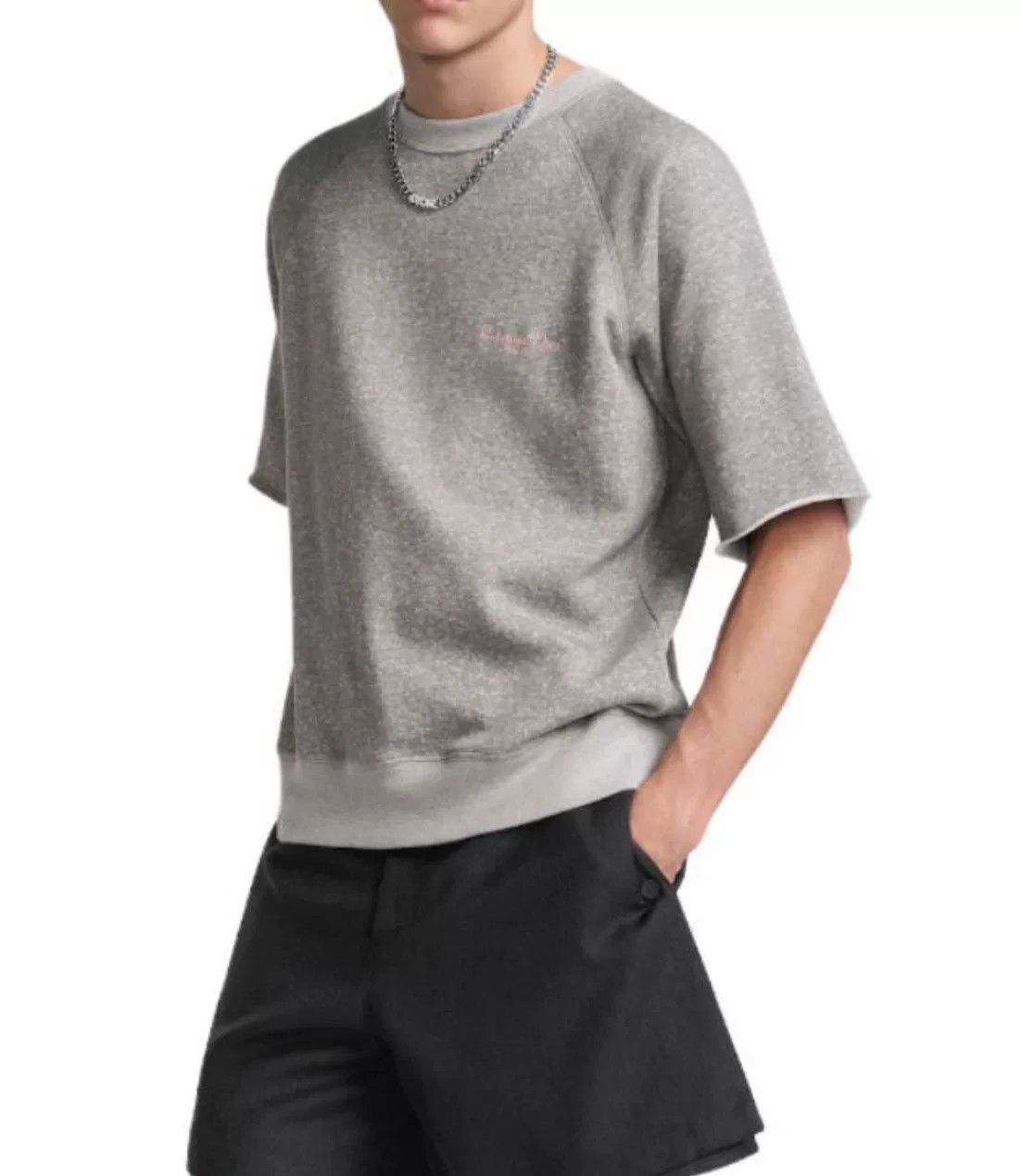 Dior Dior 24 Early Autumn Gray Short Sleeve Sweatshirt XL Size US XL / EU 56 / 4 - 2 Thumbnail