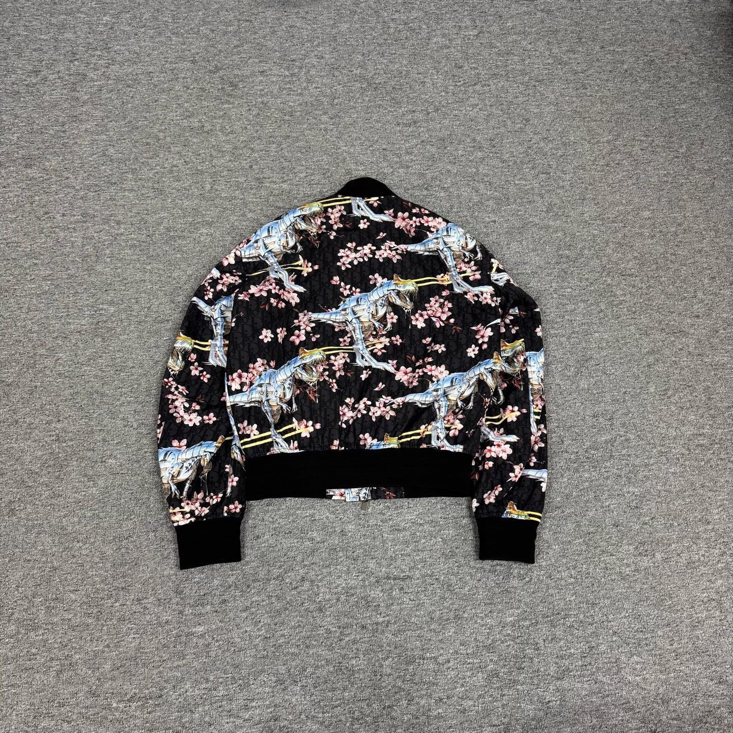 Dior Dior x Sorayama T-Rex Sakura Logo Jacket Size US S / EU 44-46 / 1 - 2 Thumbnail