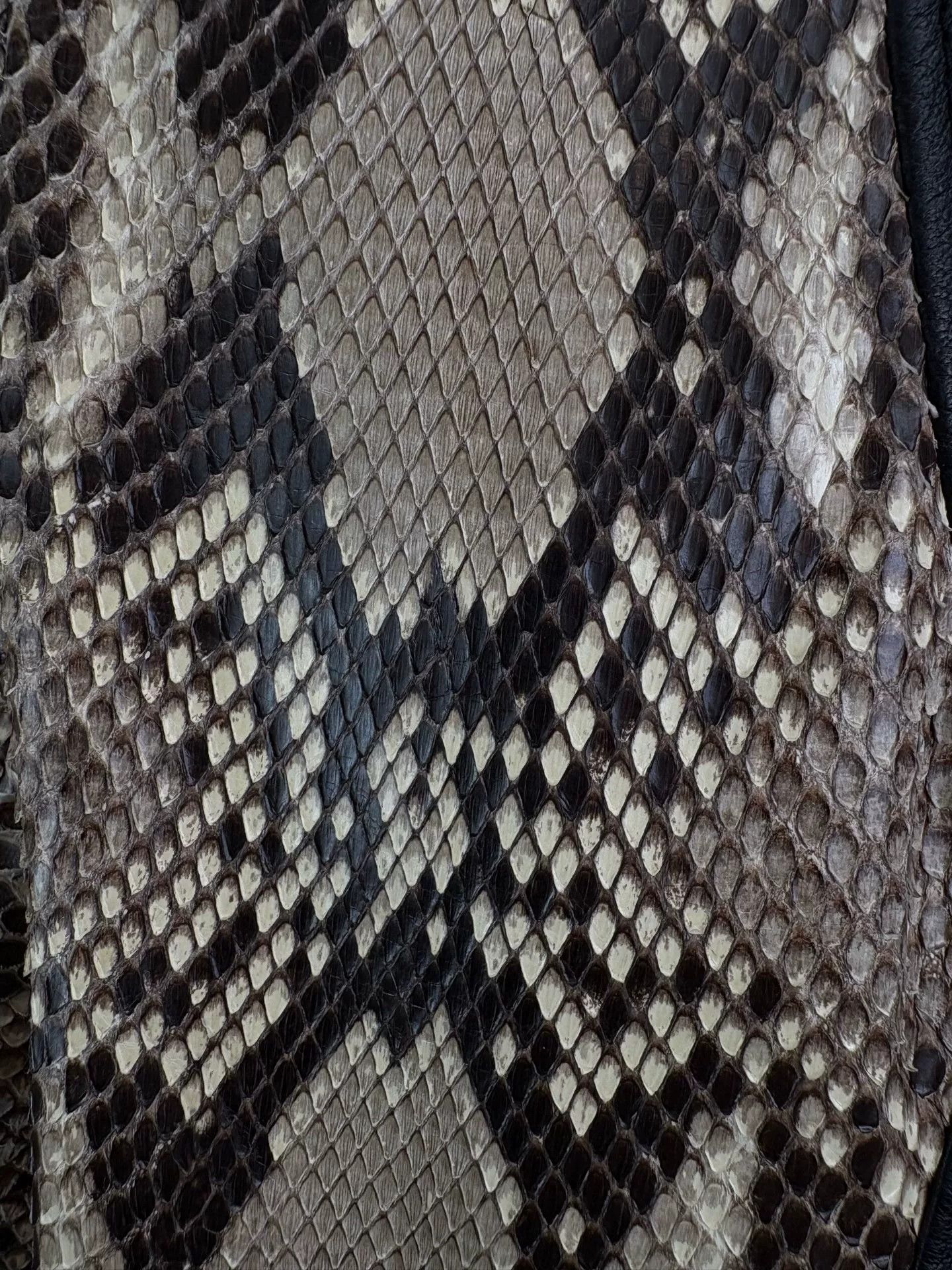 Saint Laurent Paris Saint Laurent Snake Print Cropped Jacket Size XS / US 0-2 / IT 36-38 - 3 Thumbnail