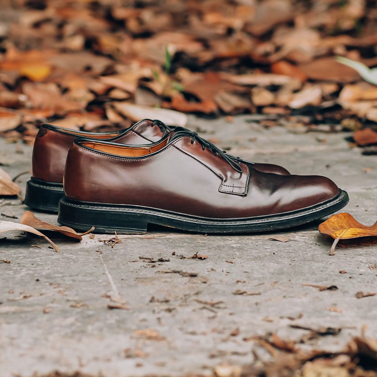 Allen Edmonds Allen Edmonds Leeds Derby Shoes Size US 9.5 / EU 42-43 - 4 Thumbnail