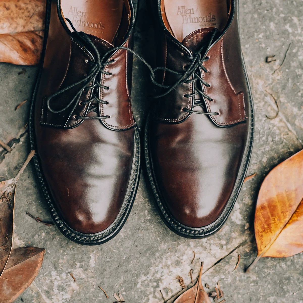 Allen Edmonds Allen Edmonds Leeds Derby Shoes Size US 9.5 / EU 42-43 - 3 Thumbnail
