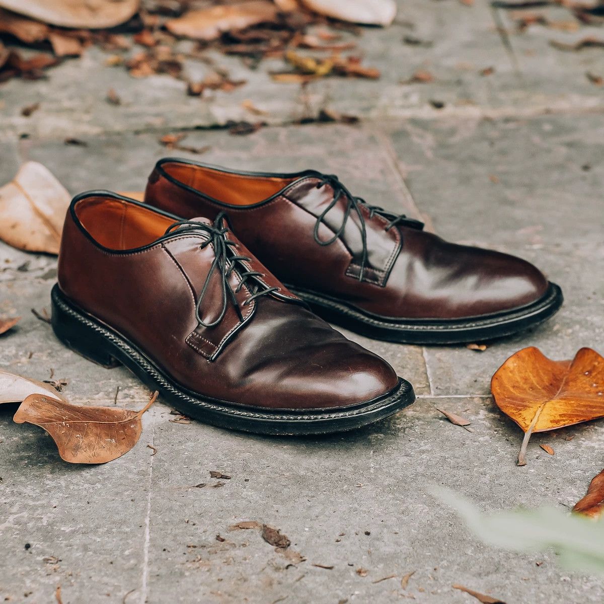 Allen Edmonds Allen Edmonds Leeds Derby Shoes Size US 9.5 / EU 42-43 - 2 Thumbnail