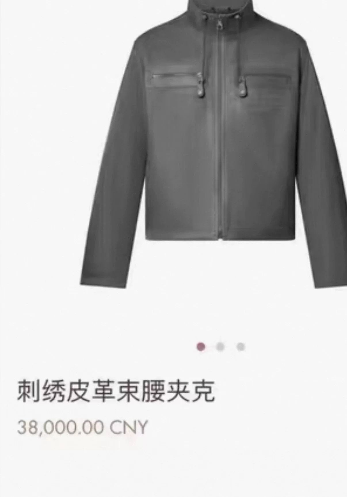 Louis Vuitton Louis Vuitton 1854 Embroidered Leather Jacket Size US M / EU 48-50 / 2 - 6 Thumbnail