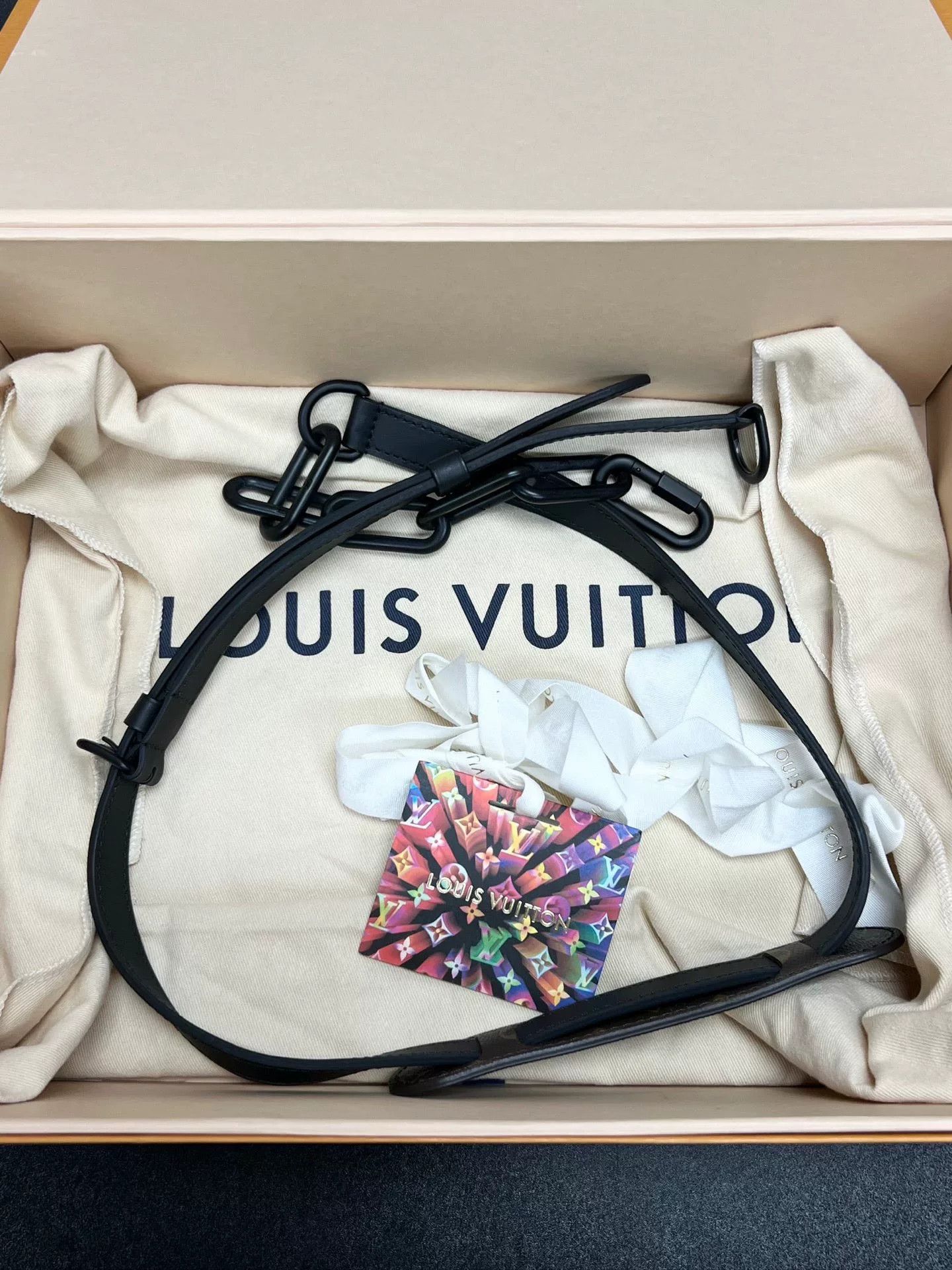 Louis Vuitton Louis Vuitton Item Designer Casual Size ONE SIZE - 9 Thumbnail