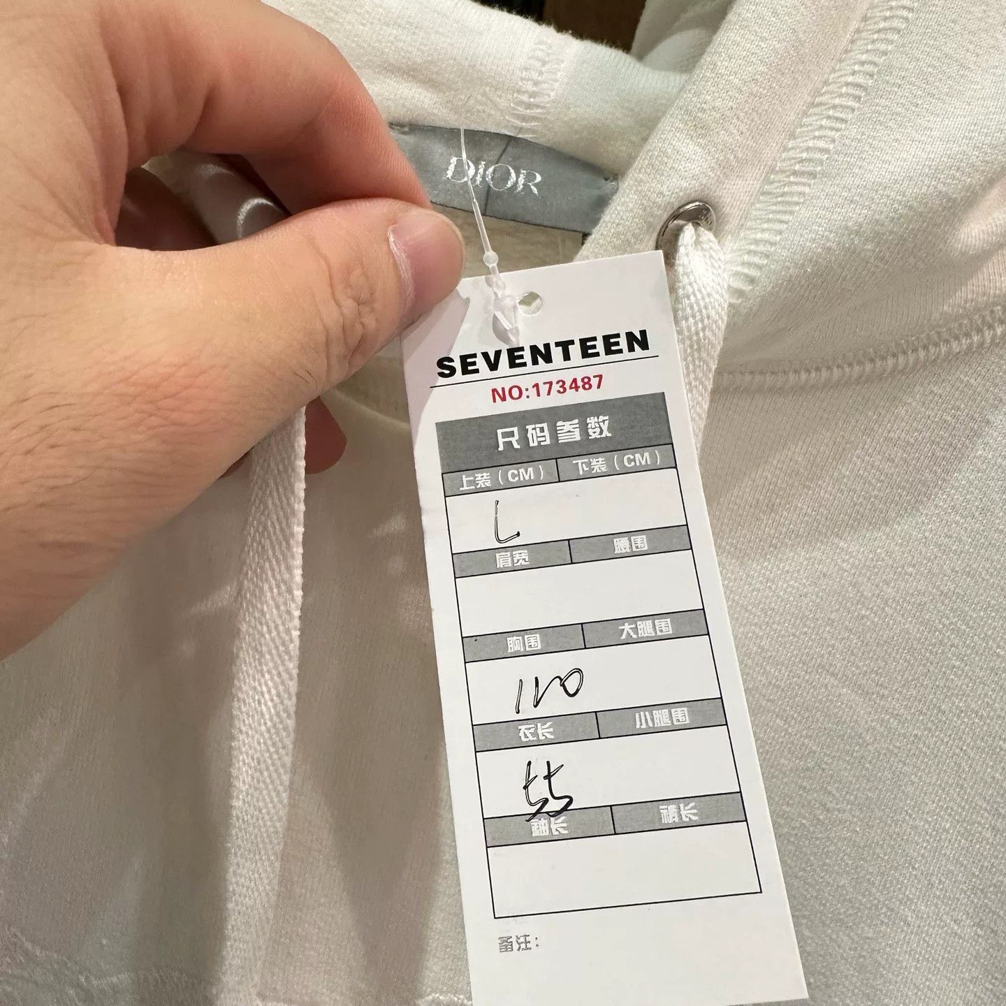 Dior Dior x Peter Doig Logo Embroidered White Hoodie Size US L / EU 52-54 / 3 - 6 Thumbnail