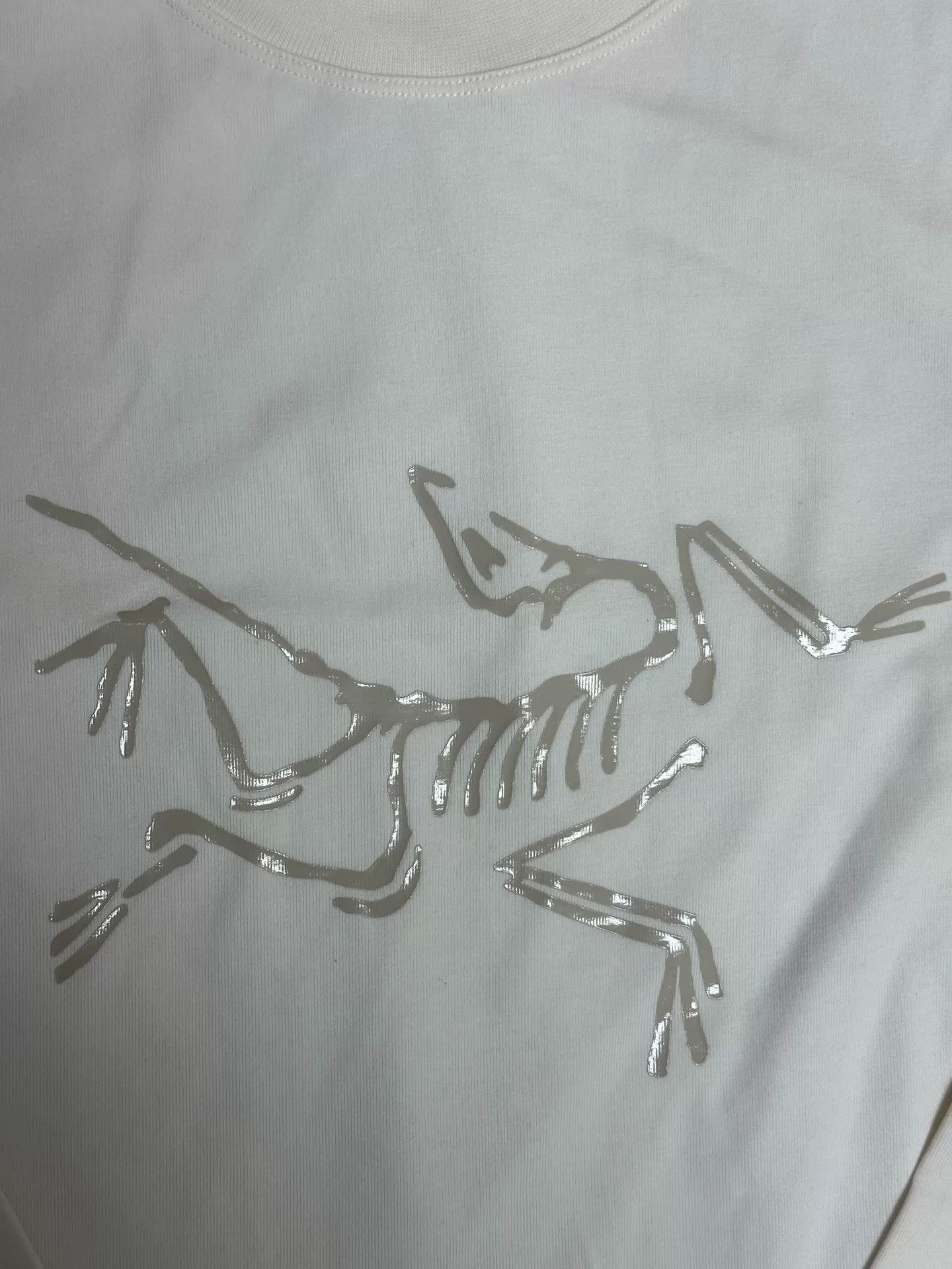 Arc'teryx Arc'teryx Logo Print Crewneck Long Sleeve T-shirt Size US S / EU 44-46 / 1 - 3 Thumbnail