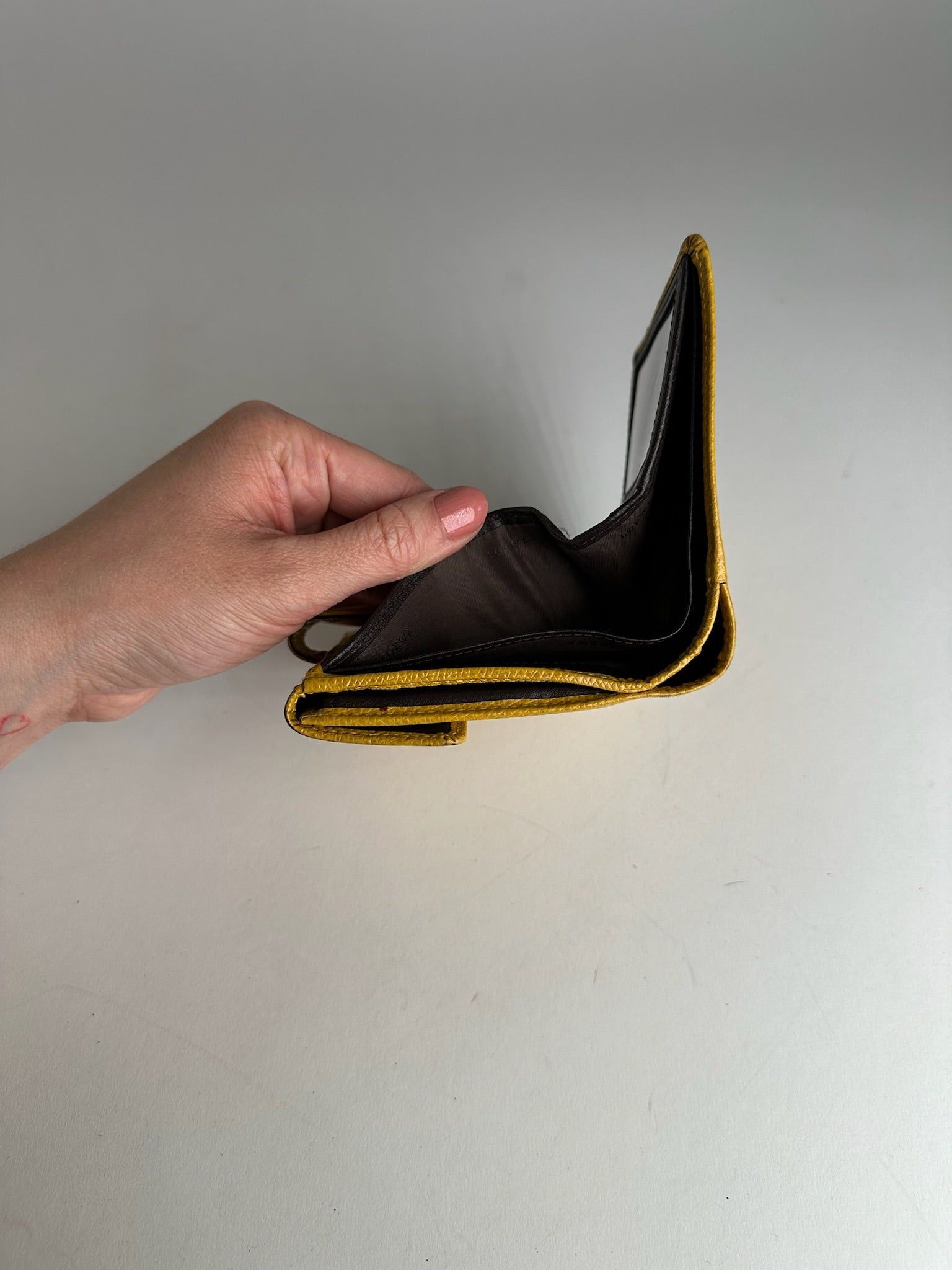 Loewe Vintage Anagram Snake Emblossed Leather Wallet Yellow Size ONE SIZE - 3 Thumbnail