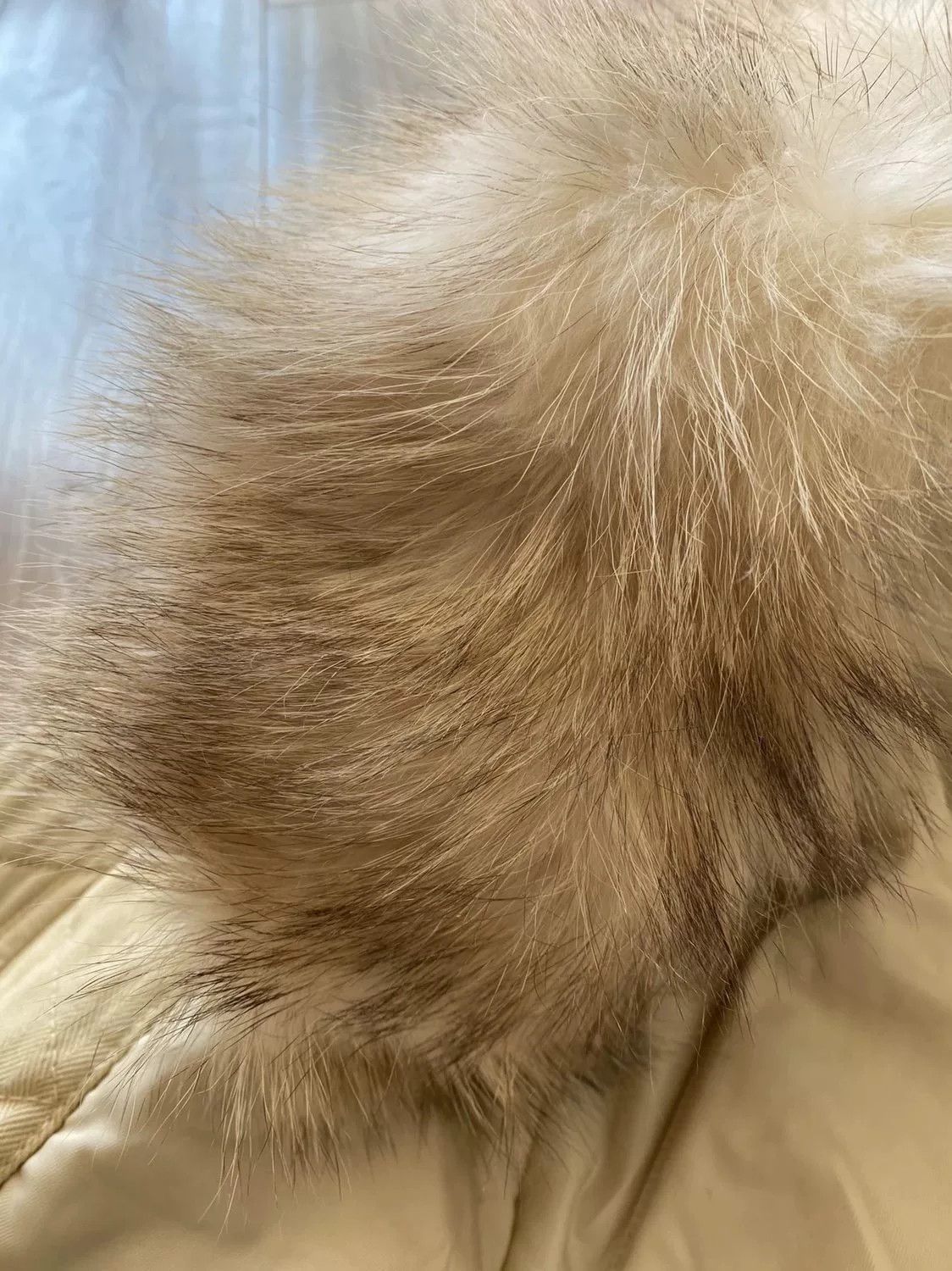 Visvim Visvim Beige N3B Down Jacket with Fur Hood Size US M / EU 48-50 / 2 - 9 Thumbnail