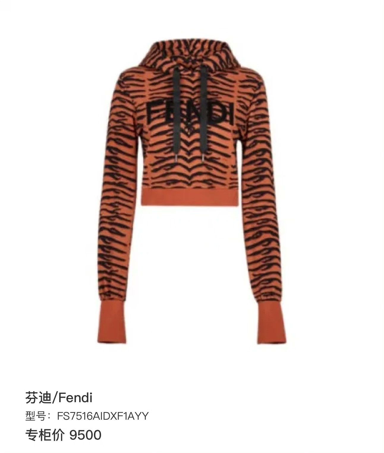 Fendi Fendi Limited Hoodie M Women Size M / US 6-8 / IT 42-44 - 7 Thumbnail