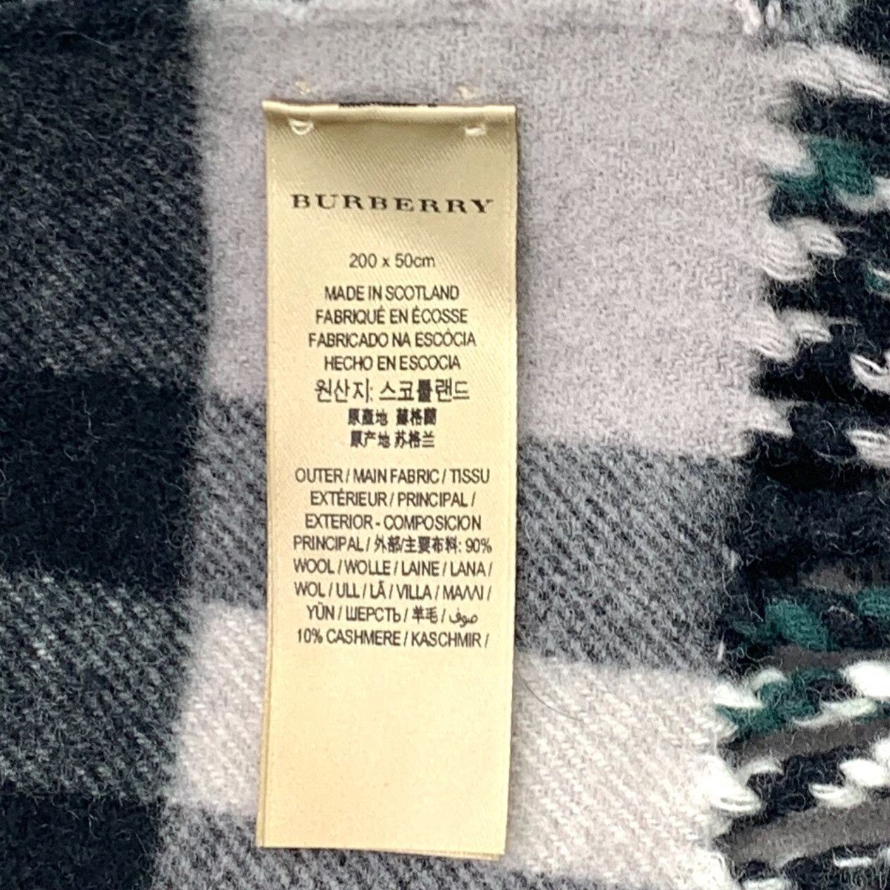 Burberry Burberry Green Plaid Wool Fringe Scarf Size ONE SIZE - 9 Thumbnail