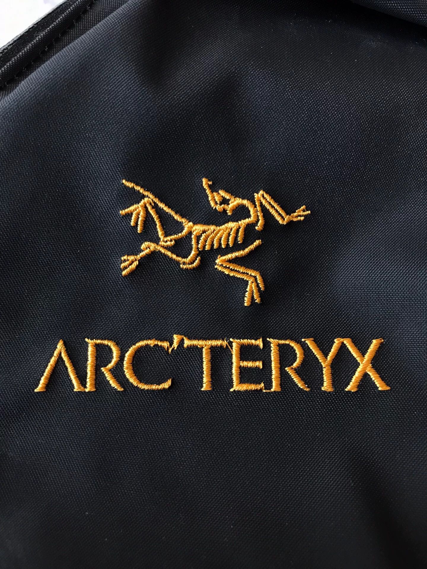 Arc'teryx Arc'Teryx Arro 22 Outdoor Backpack Size ONE SIZE - 3 Thumbnail