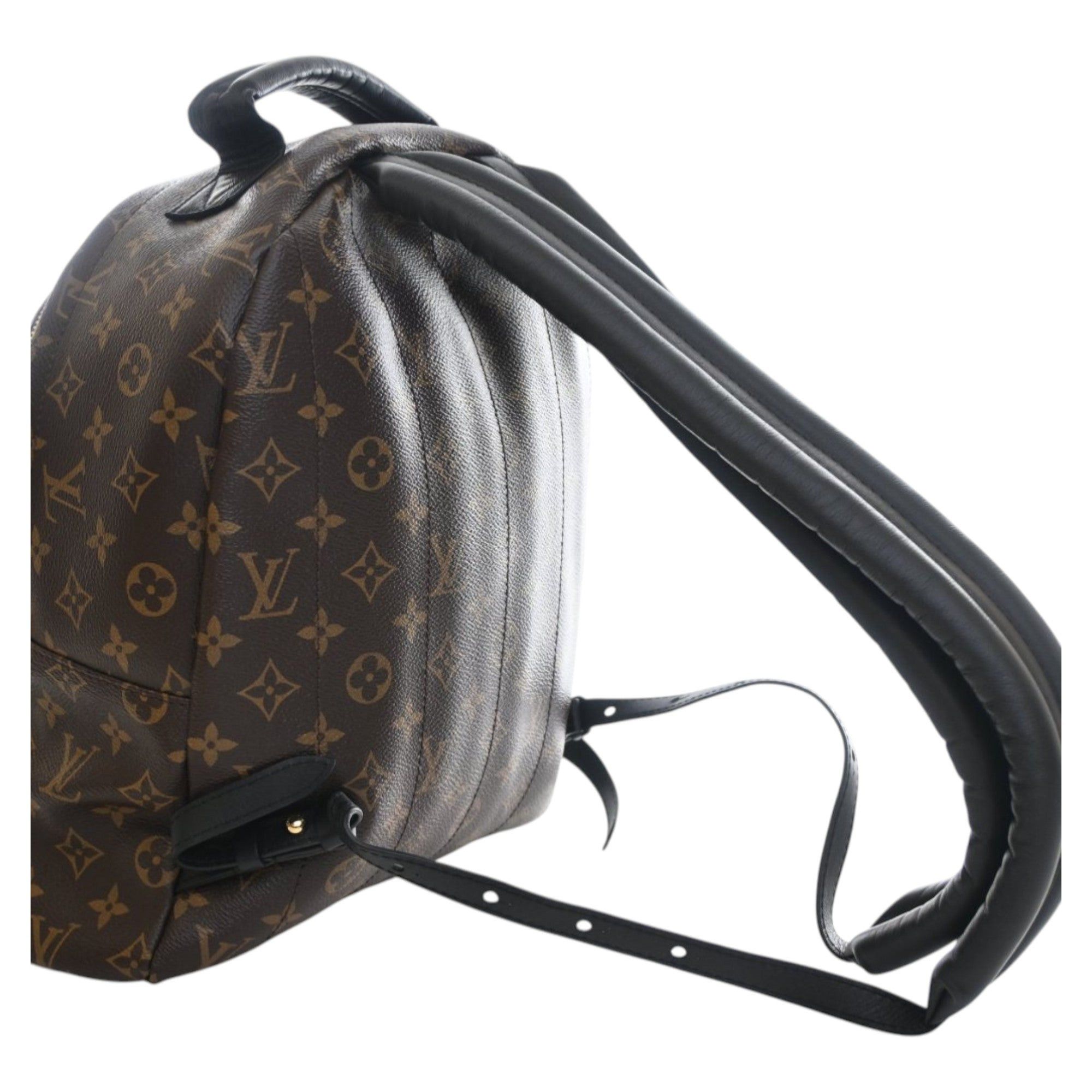 Louis Vuitton Monogram Palm Springs MM Size ONE SIZE - 13 Thumbnail