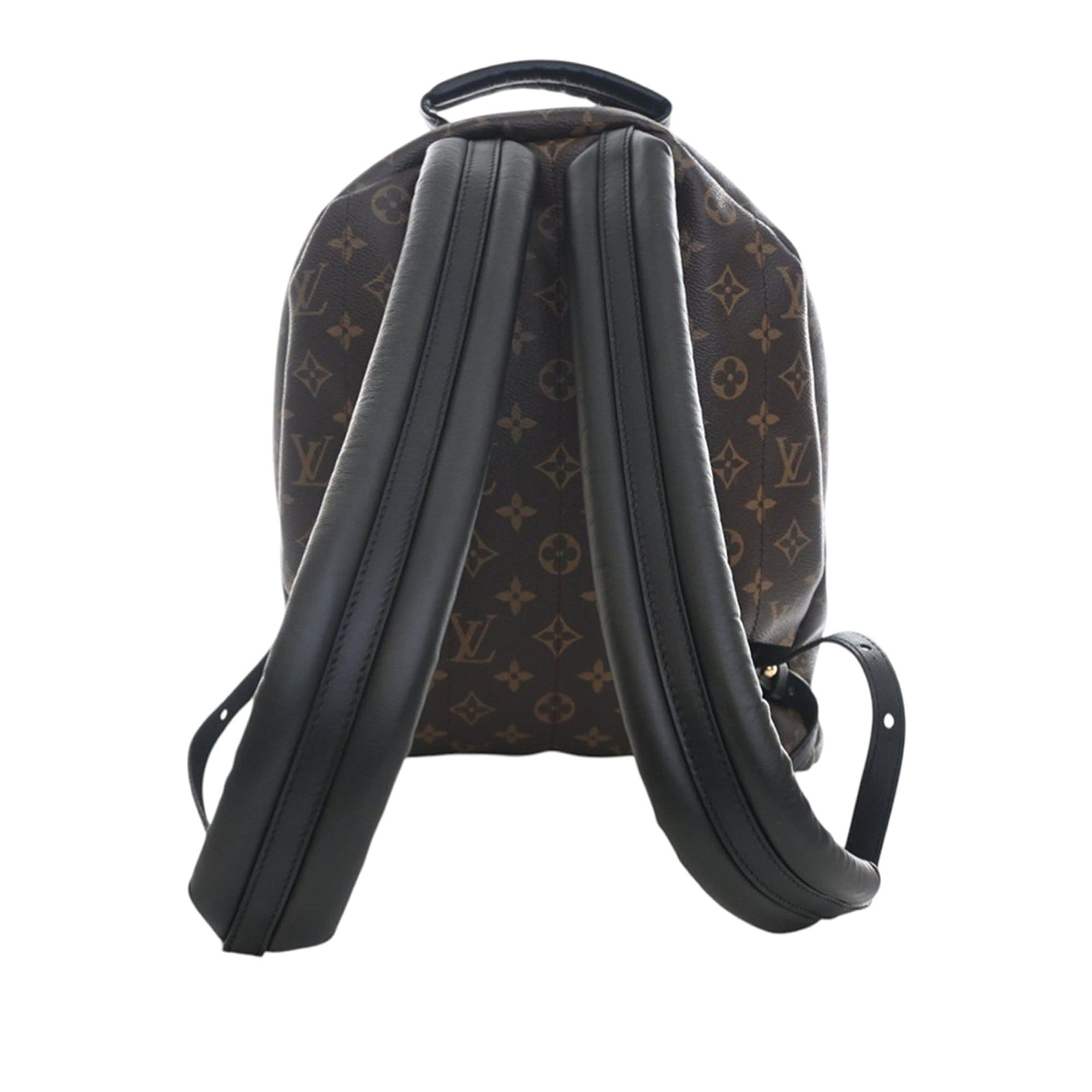 Louis Vuitton Monogram Palm Springs MM Size ONE SIZE - 4 Thumbnail