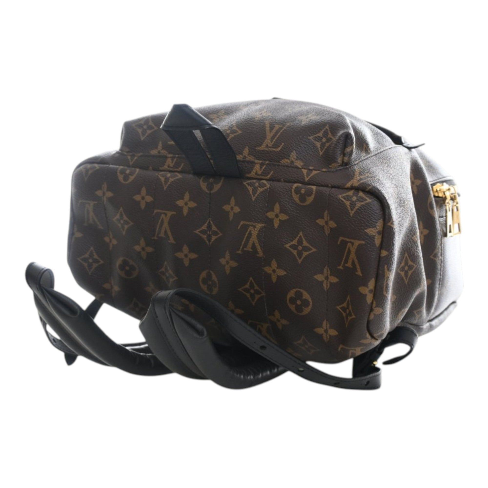 Louis Vuitton Monogram Palm Springs MM Size ONE SIZE - 11 Thumbnail
