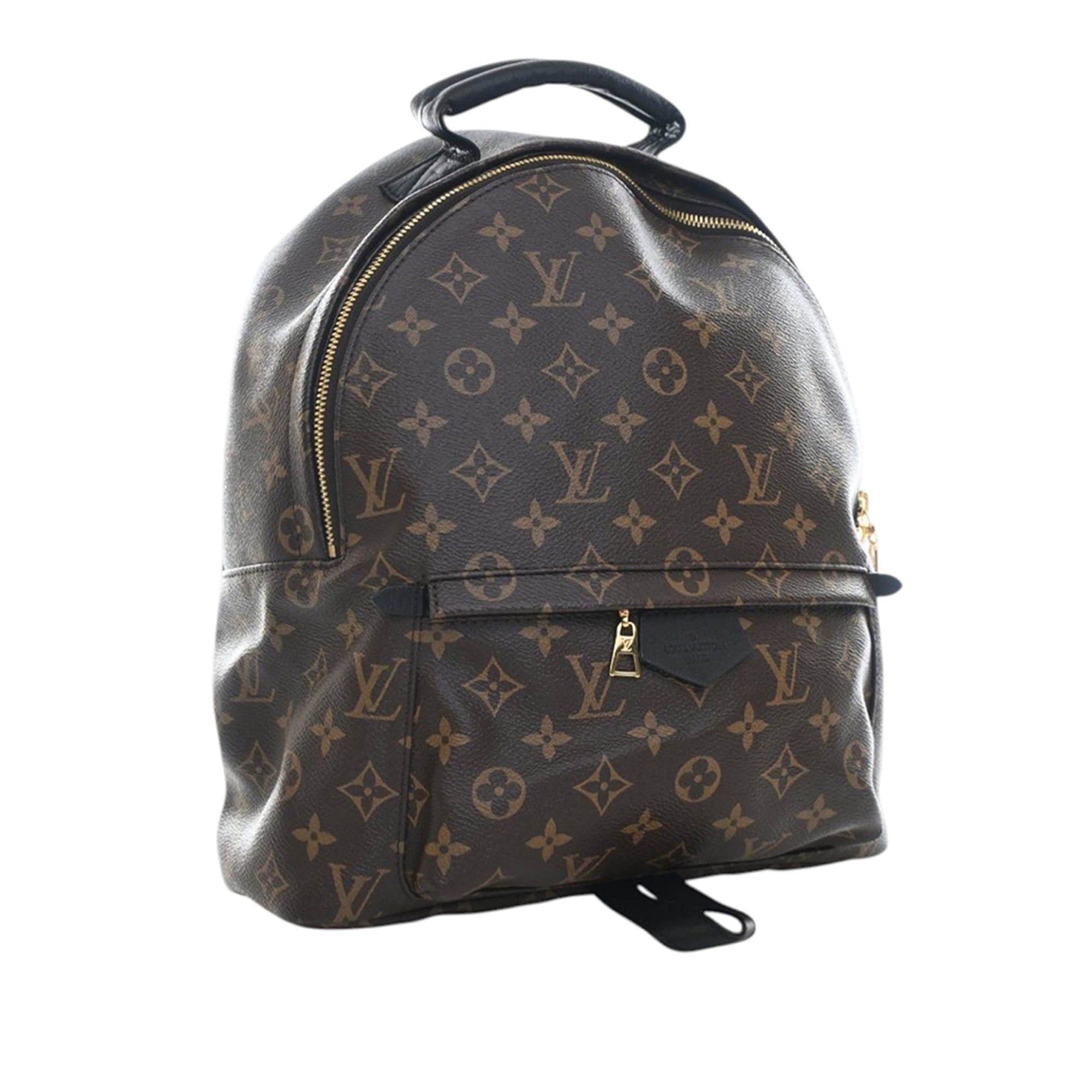 Louis Vuitton Monogram Palm Springs MM Size ONE SIZE - 2 Thumbnail