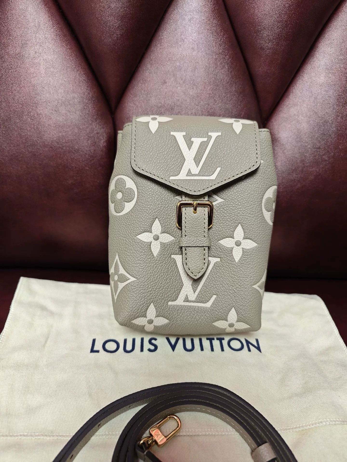 Louis Vuitton LV Tiny Women's Backpack Crossbody Size ONE SIZE - 2 Thumbnail