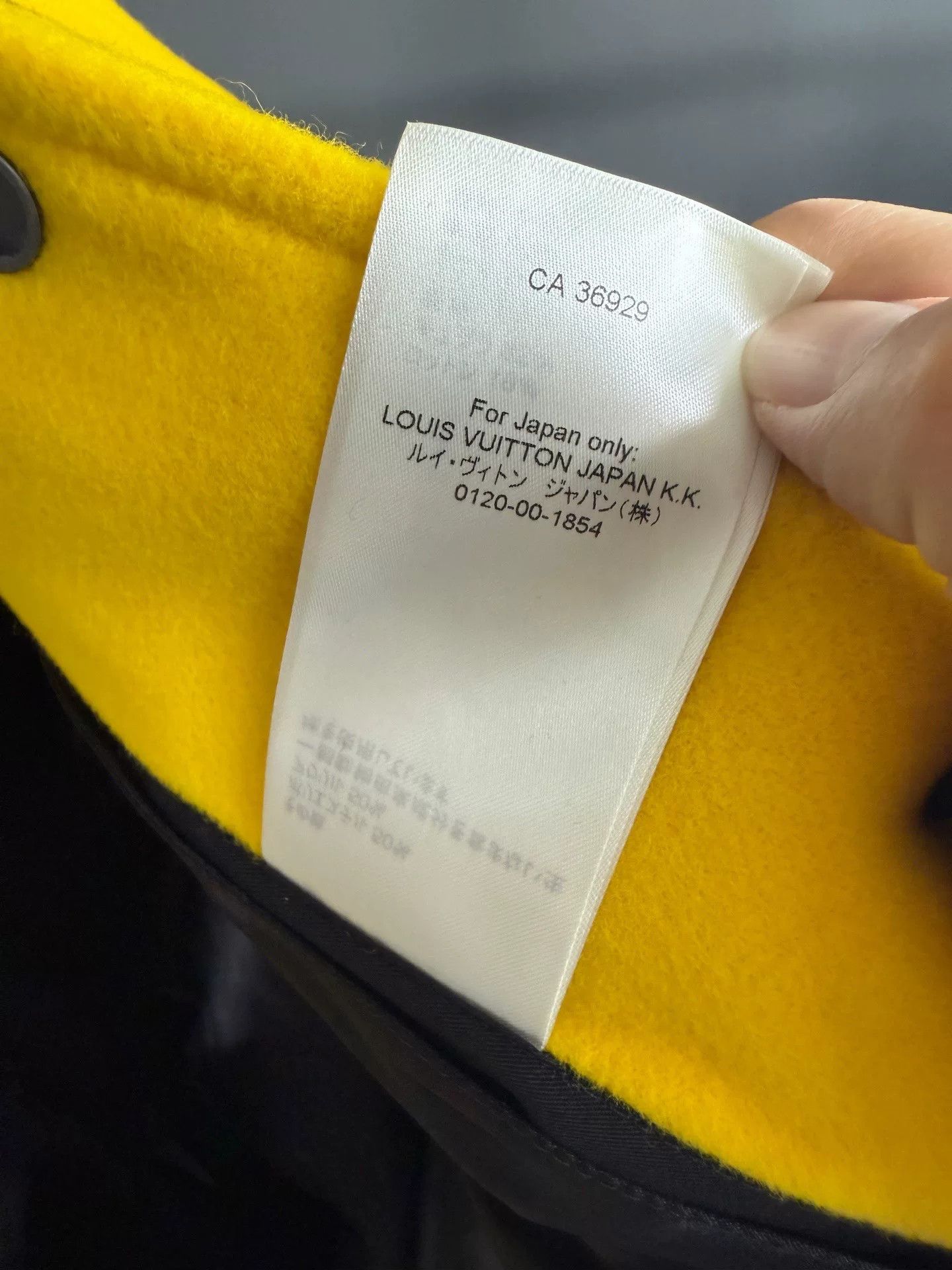 Louis Vuitton Louis Vuitton Embroidered Yellow Light Jacket 50 Men Size US XL / EU 56 / 4 - 5 Thumbnail