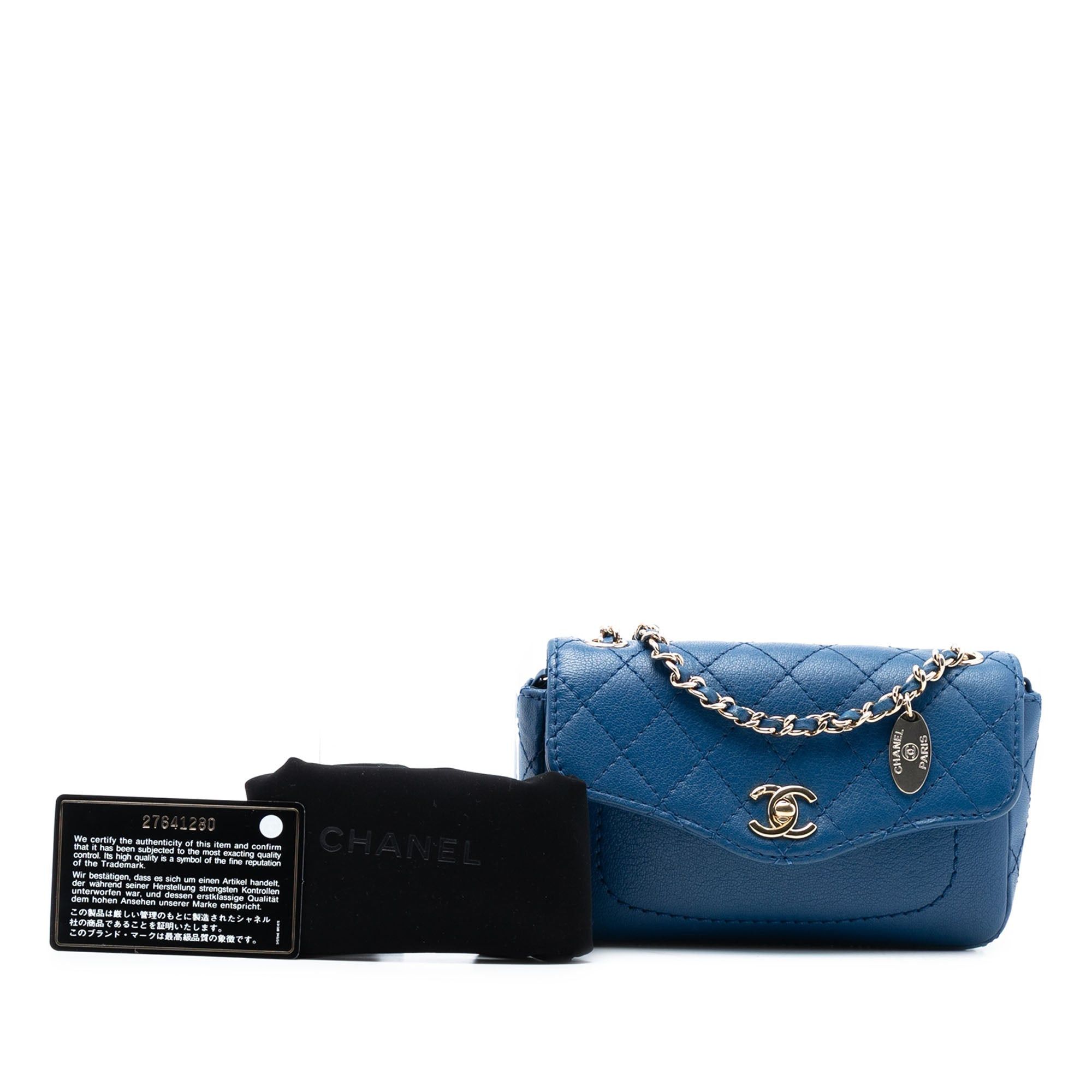 Chanel Mini Quilted Goatskin Coco Curve Flap Size ONE SIZE - 8 Thumbnail