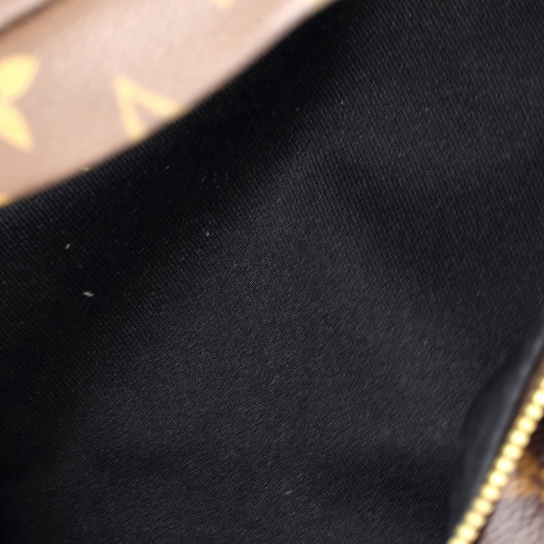 Louis Vuitton Bum Bag Size ONE SIZE - 5 Thumbnail