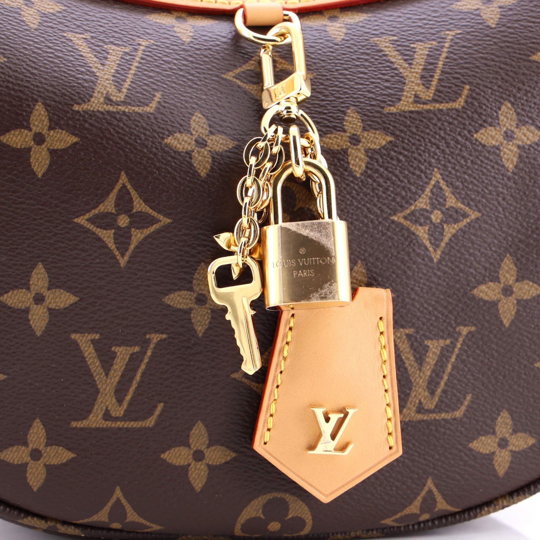 Louis Vuitton Looping NM Handbag Size ONE SIZE - 6 Thumbnail