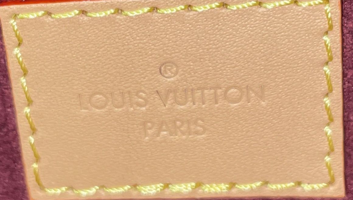 Louis Vuitton CarryAll Hobo Size ONE SIZE - 8 Thumbnail