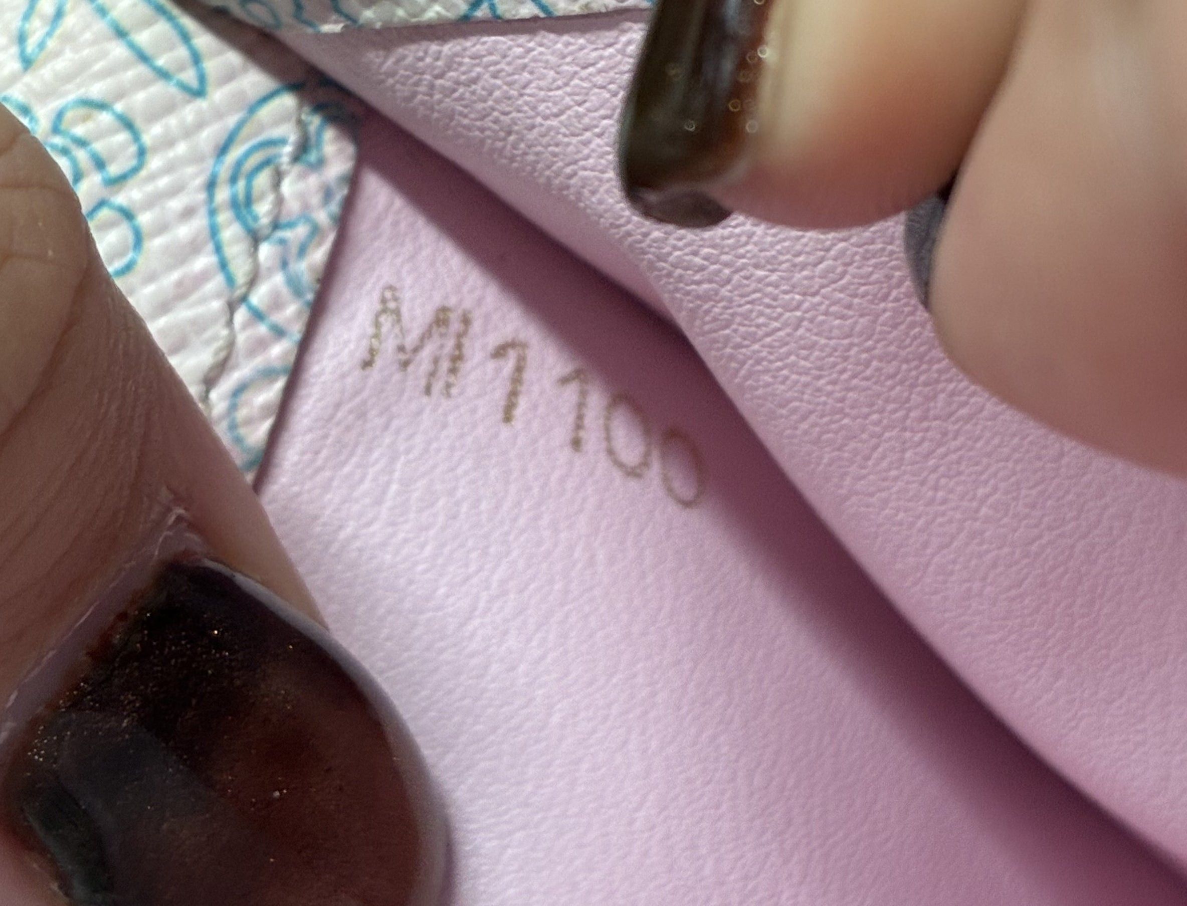Louis Vuitton Insolite Wallet Size ONE SIZE - 7 Thumbnail