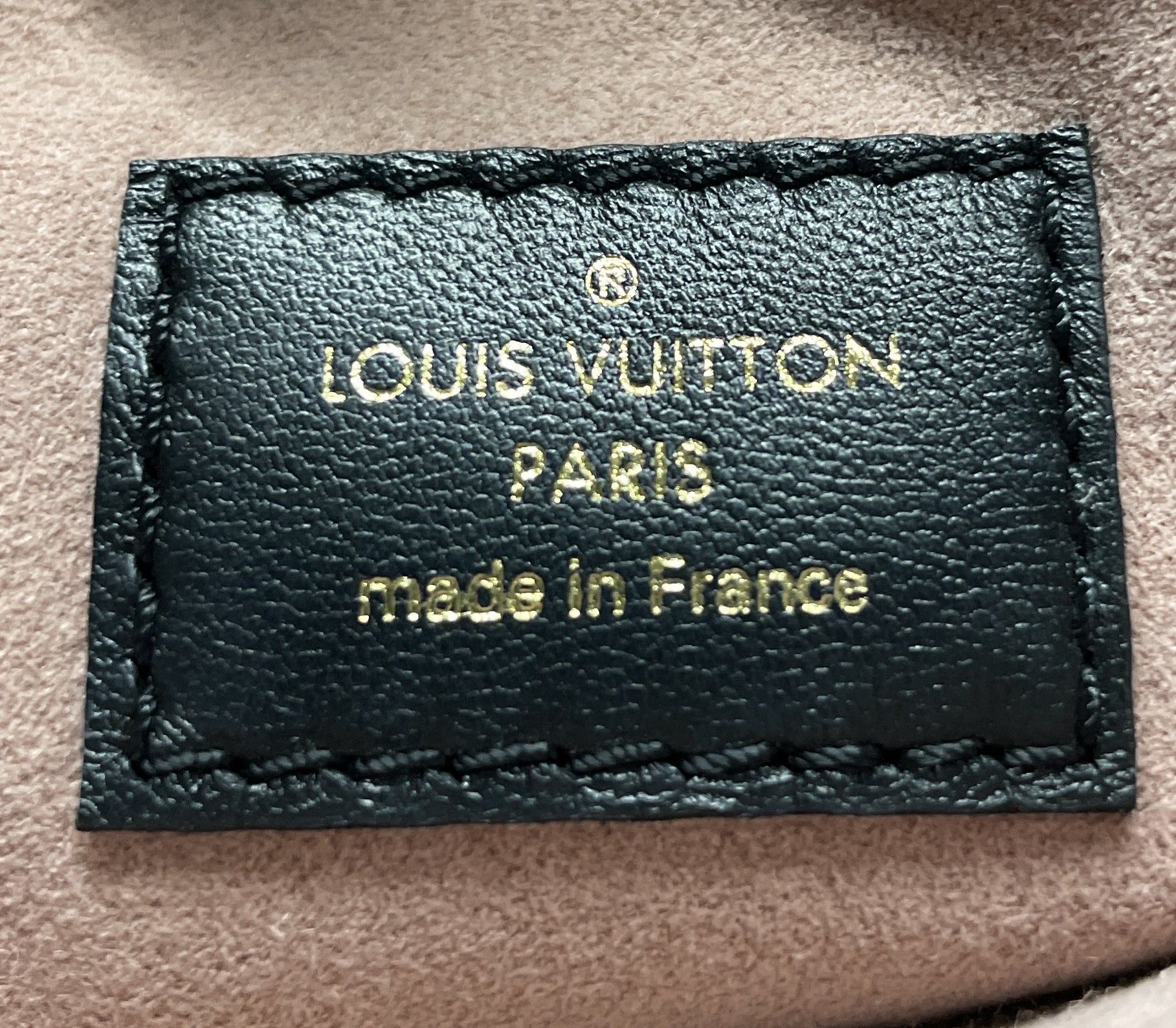 Louis Vuitton Coussin Bag Size ONE SIZE - 7 Thumbnail