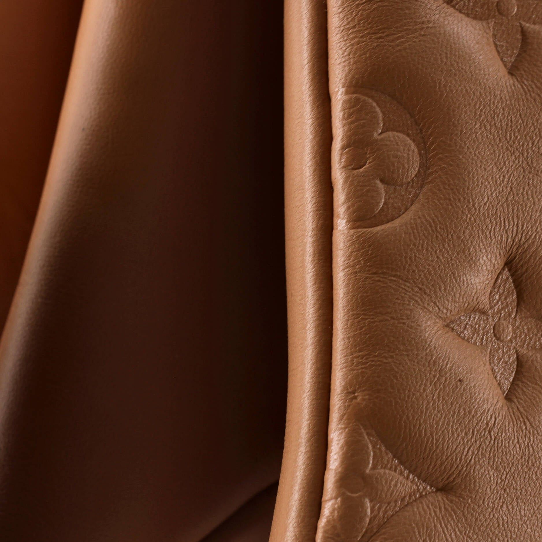 Louis Vuitton Coussin Bag Size ONE SIZE - 6 Thumbnail