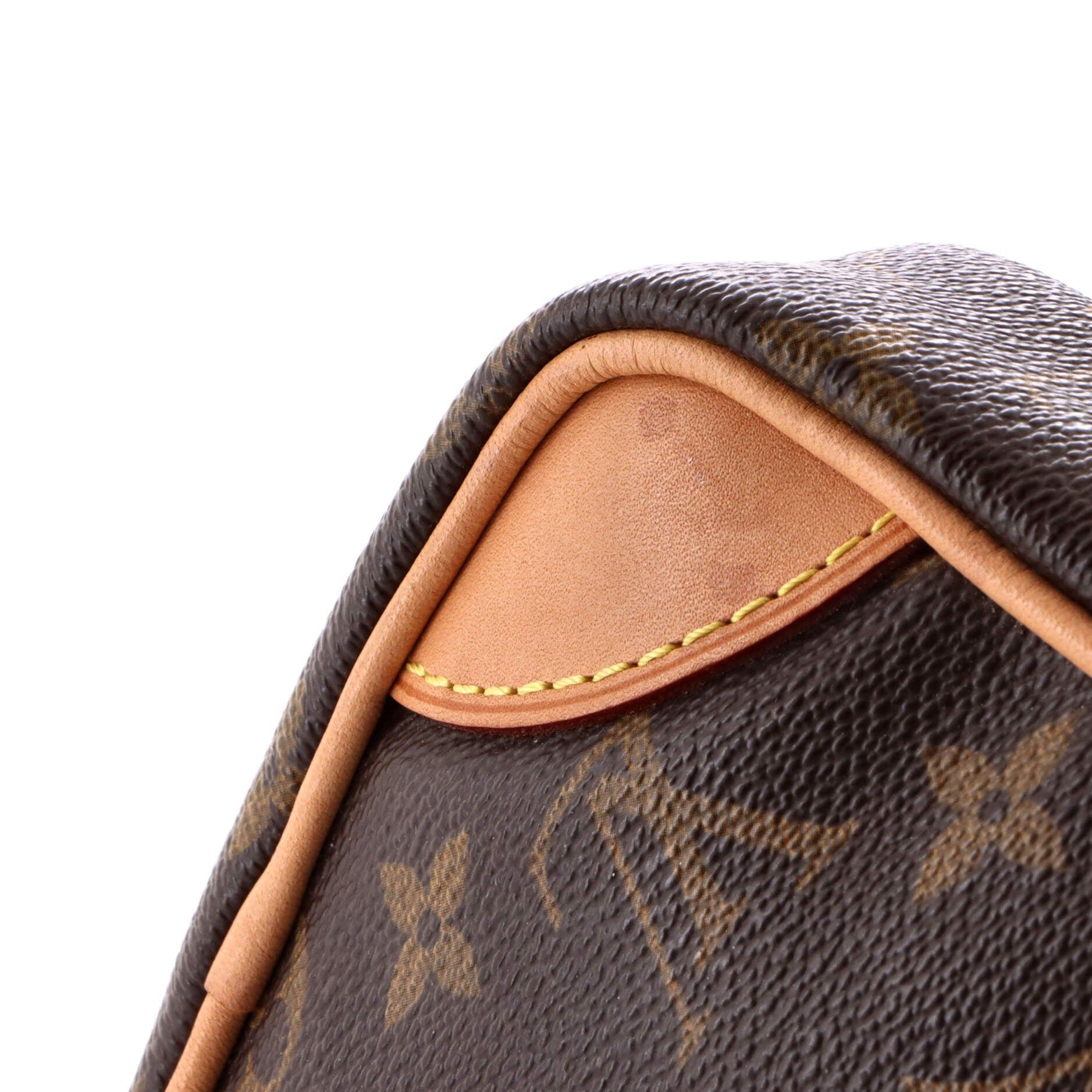 Louis Vuitton Danube Handbag Size ONE SIZE - 6 Thumbnail