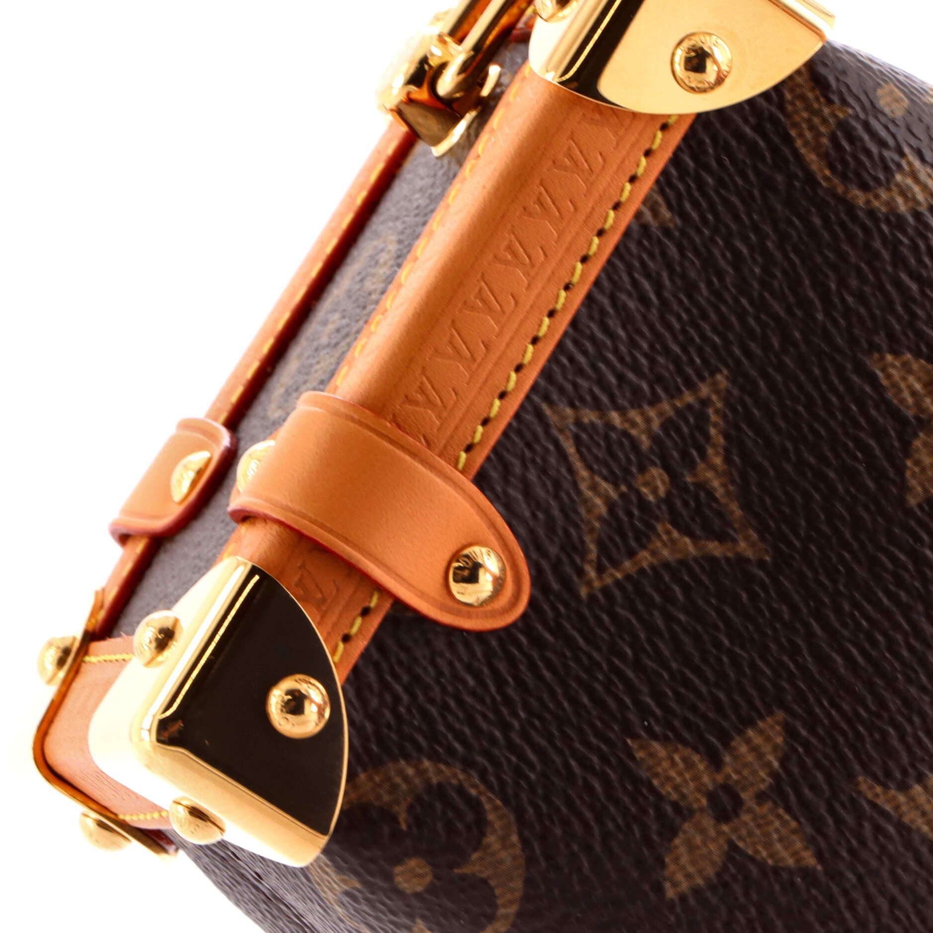Louis Vuitton Side Trunk Handbag Size ONE SIZE - 6 Thumbnail