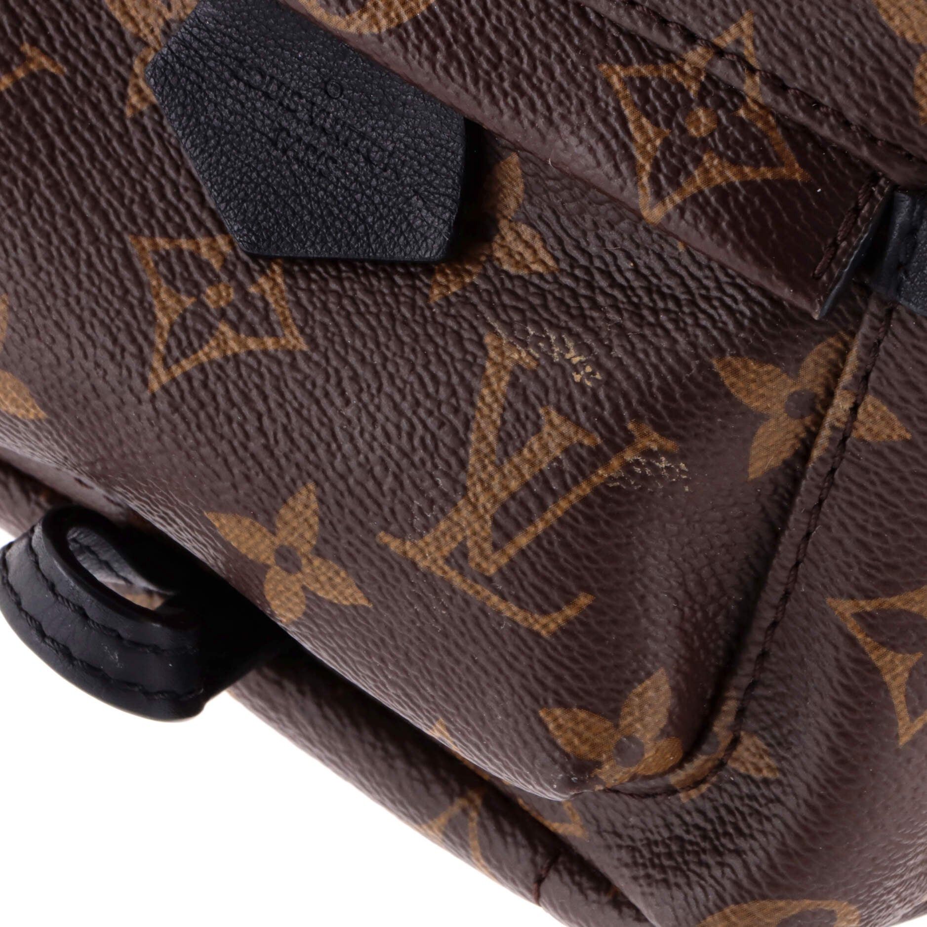 Louis Vuitton Palm Springs Backpack Size ONE SIZE - 6 Thumbnail
