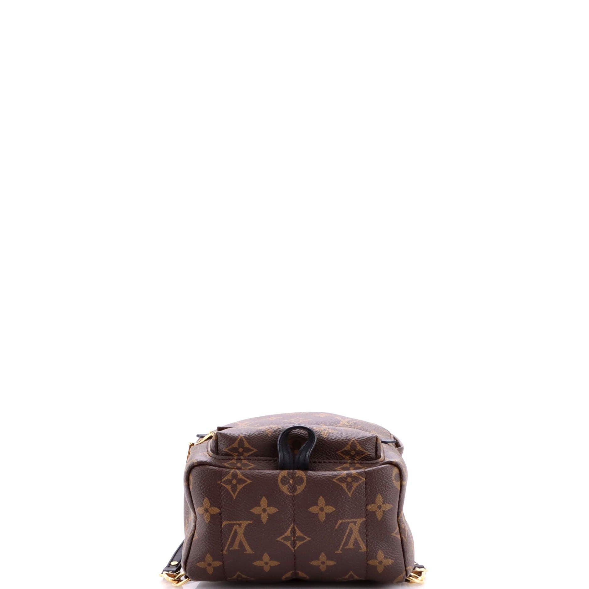 Louis Vuitton Palm Springs Backpack Size ONE SIZE - 4 Thumbnail