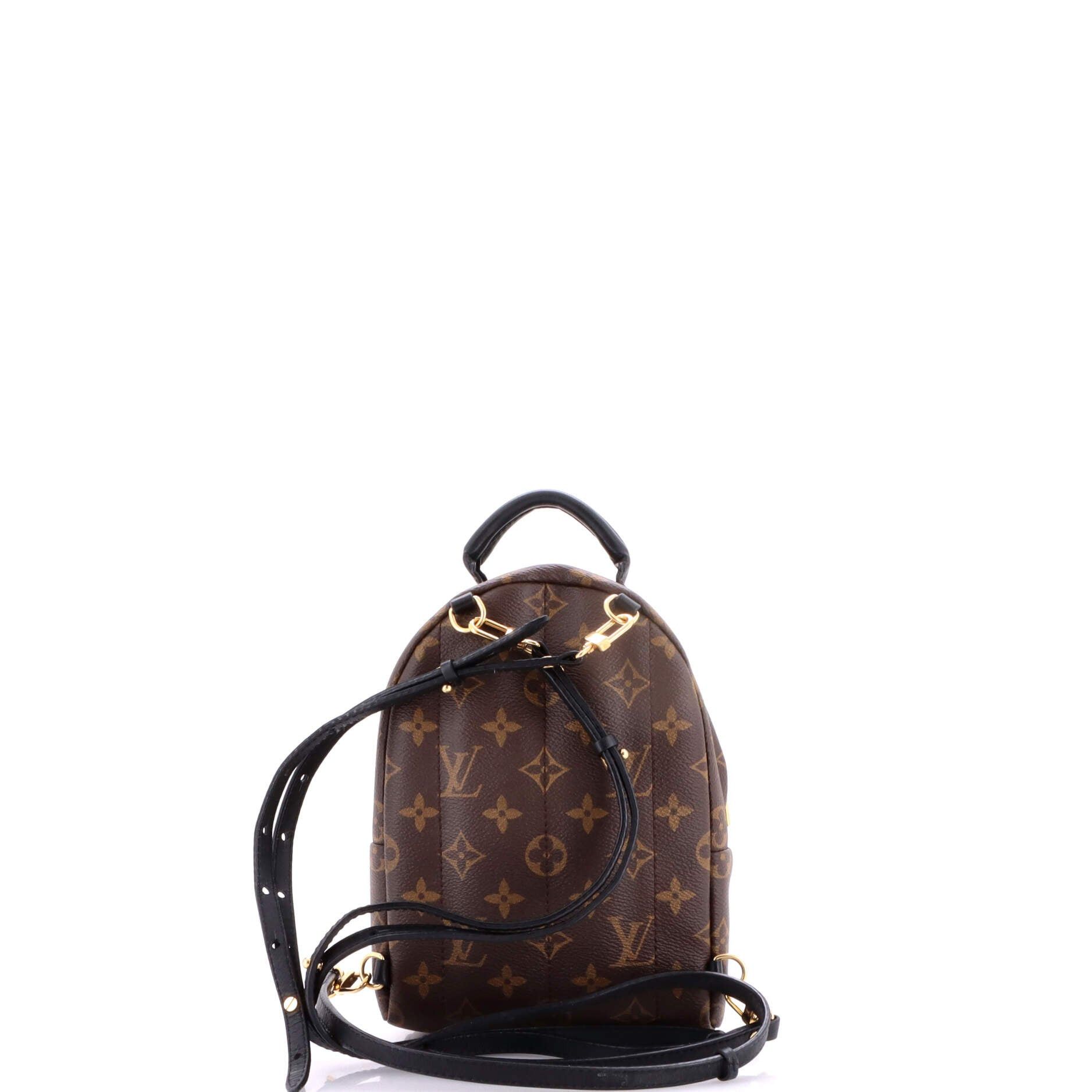Louis Vuitton Palm Springs Backpack Size ONE SIZE - 3 Thumbnail