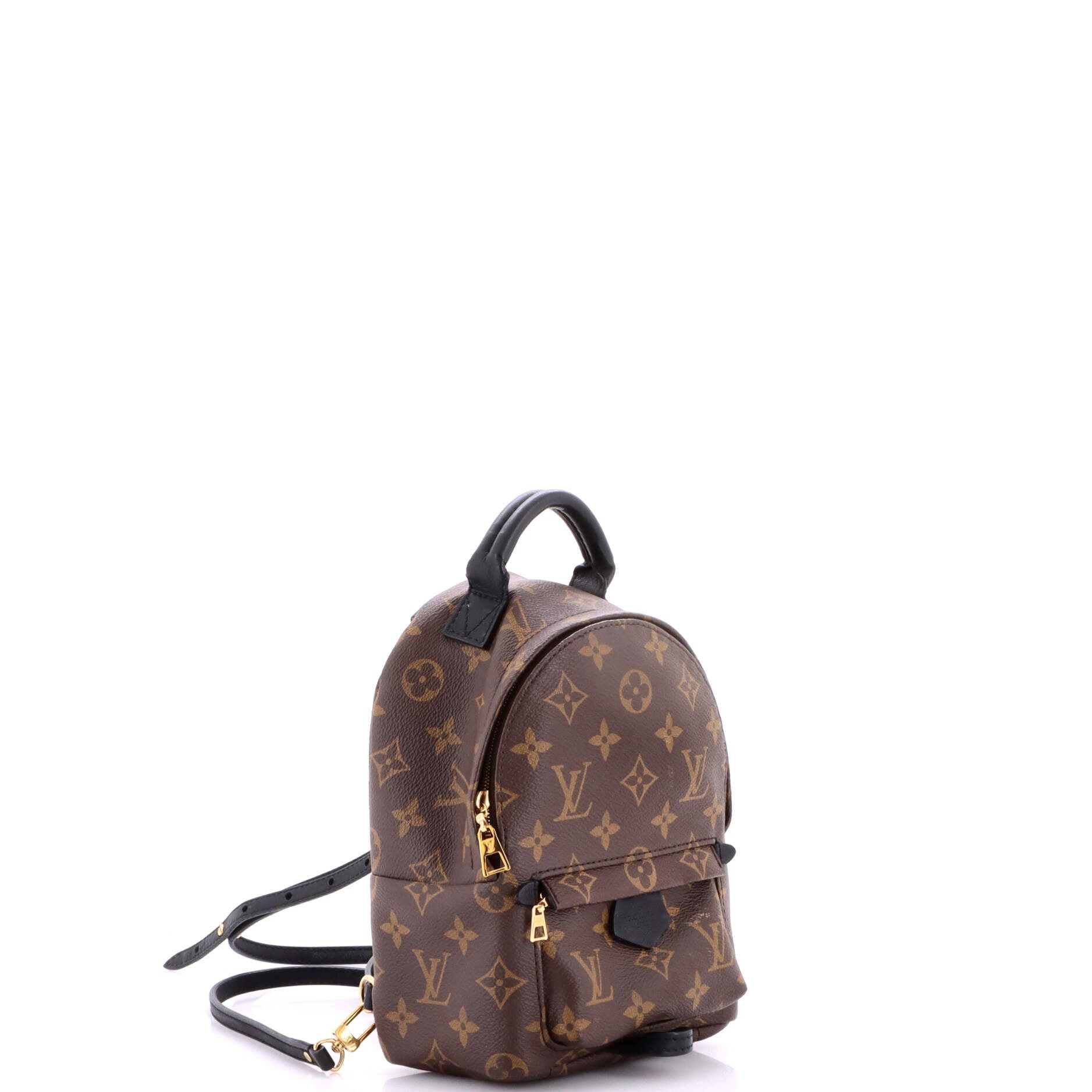 Louis Vuitton Palm Springs Backpack Size ONE SIZE - 2 Thumbnail