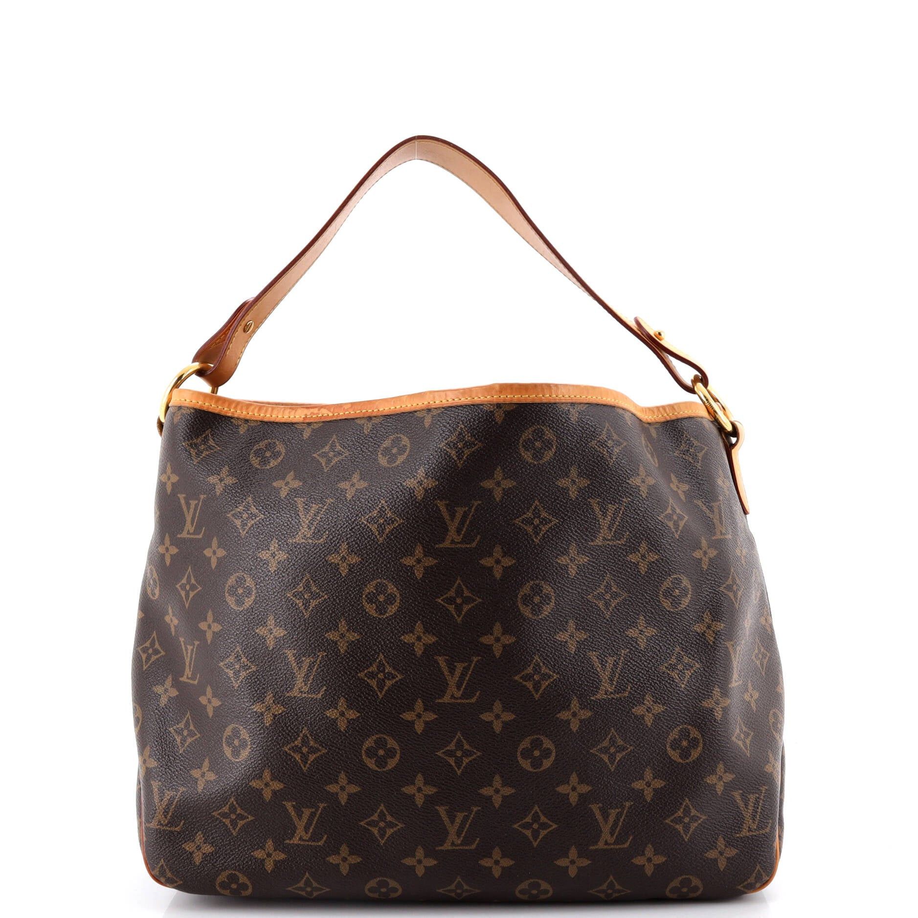 Louis Vuitton Delightful Handbag Size ONE SIZE - 3 Thumbnail