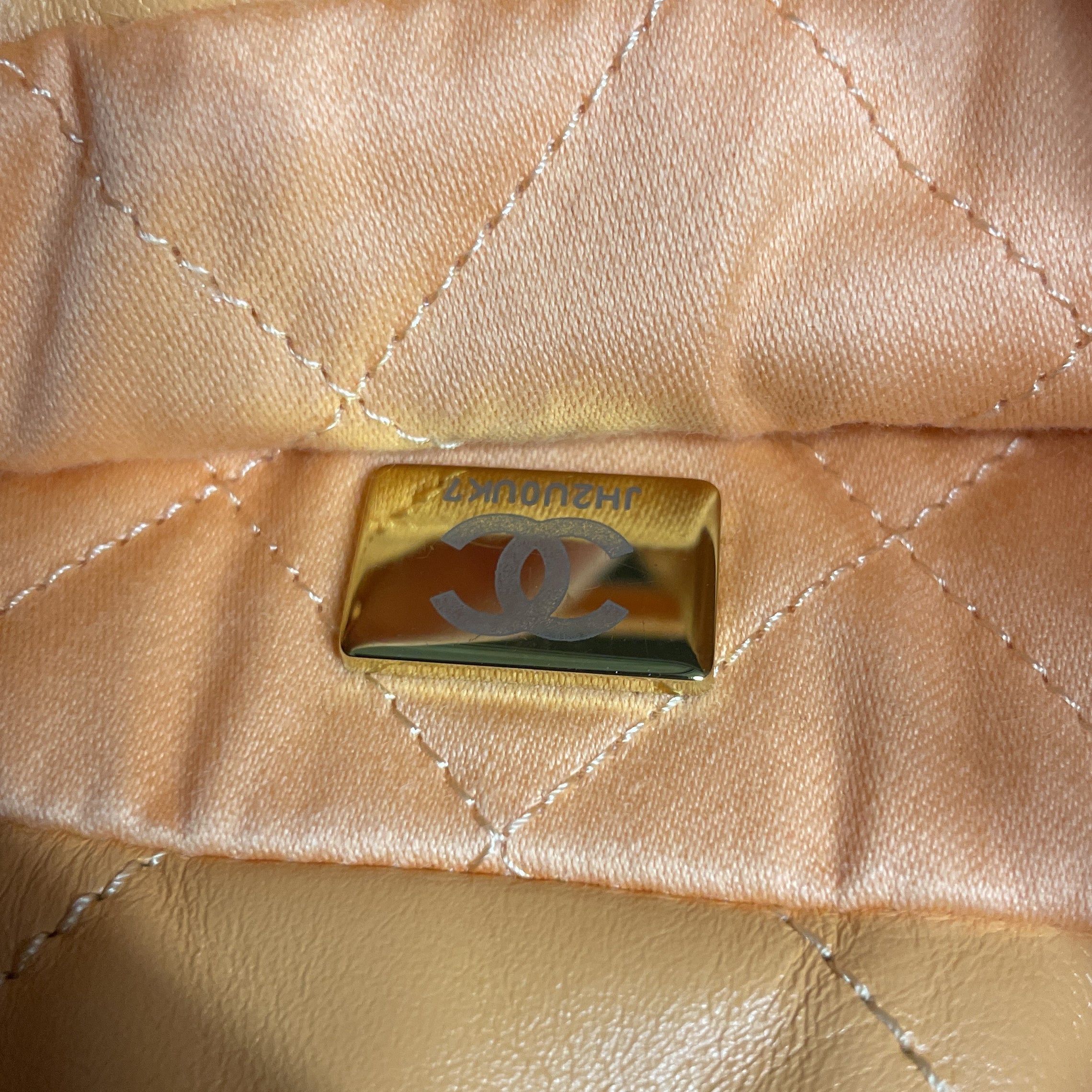 Chanel 22 Chain Hobo Size ONE SIZE - 6 Thumbnail