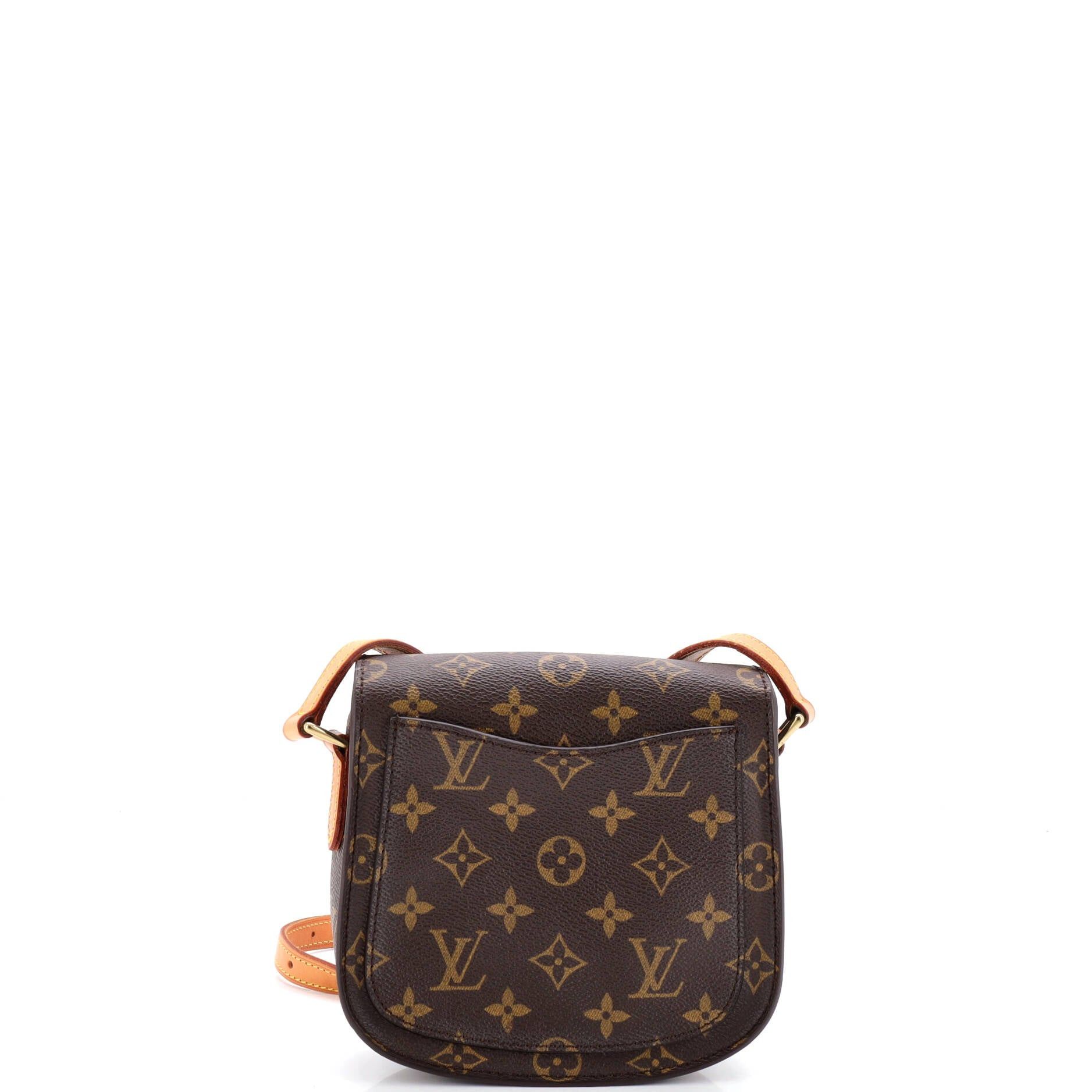 Louis Vuitton Saint Cloud Handbag Size ONE SIZE - 3 Thumbnail