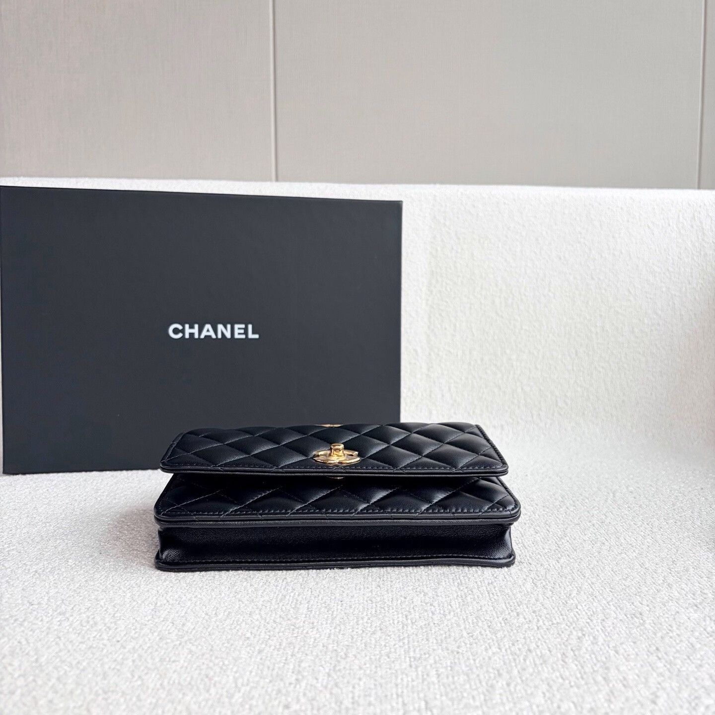 Chanel Pre-loved Bag Brand new condition Size ONE SIZE - 5 Thumbnail