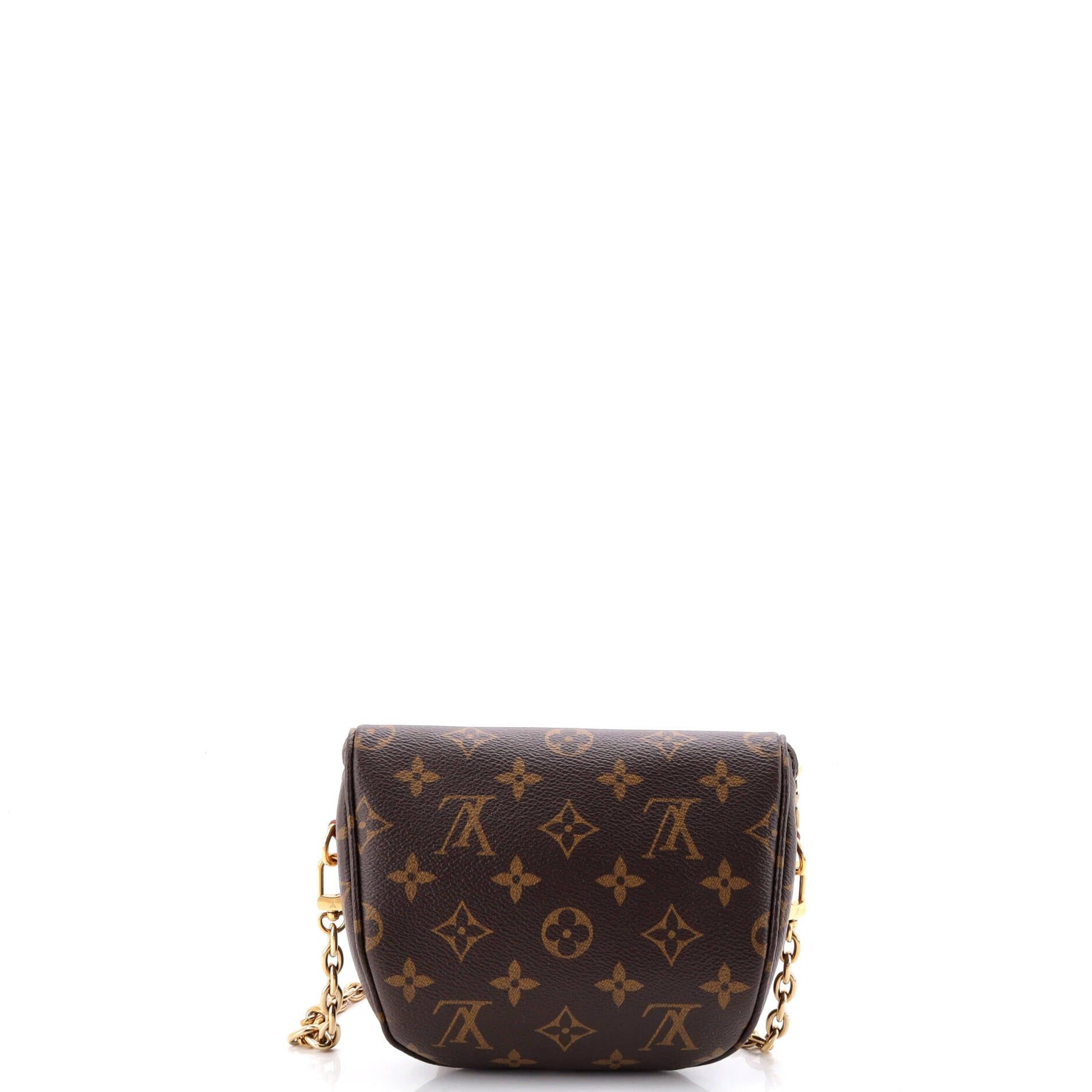 Louis Vuitton Bum Bag Size ONE SIZE - 3 Thumbnail