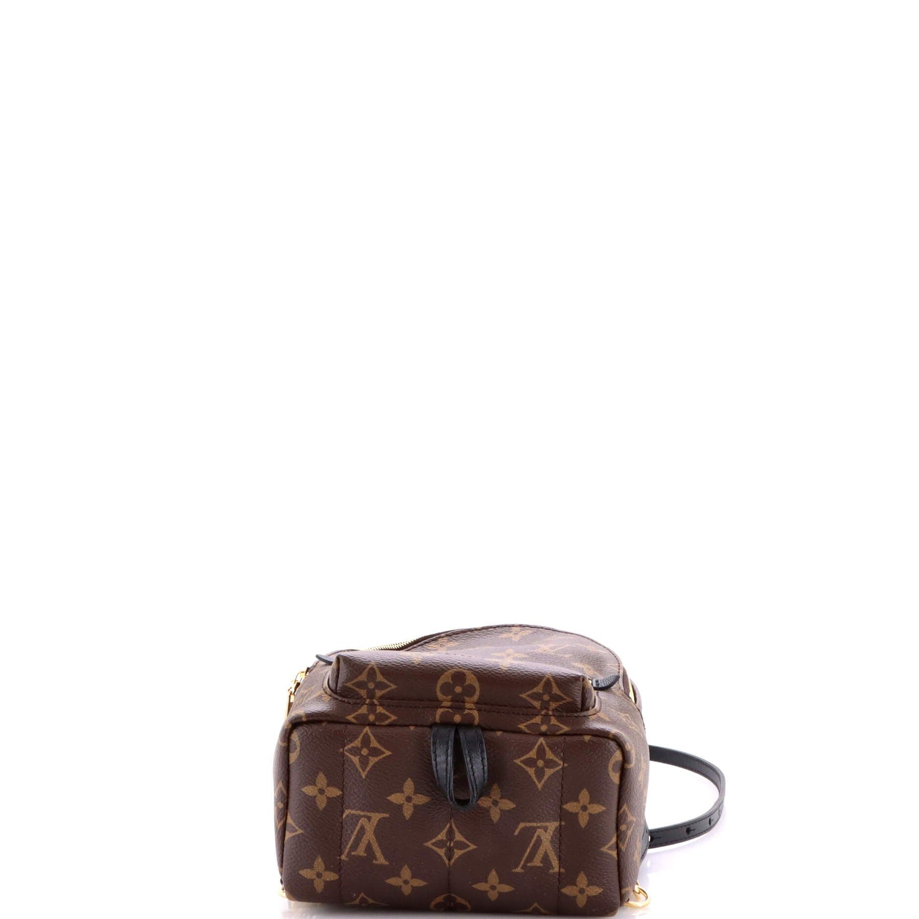 Louis Vuitton Palm Springs Backpack Size ONE SIZE - 4 Thumbnail