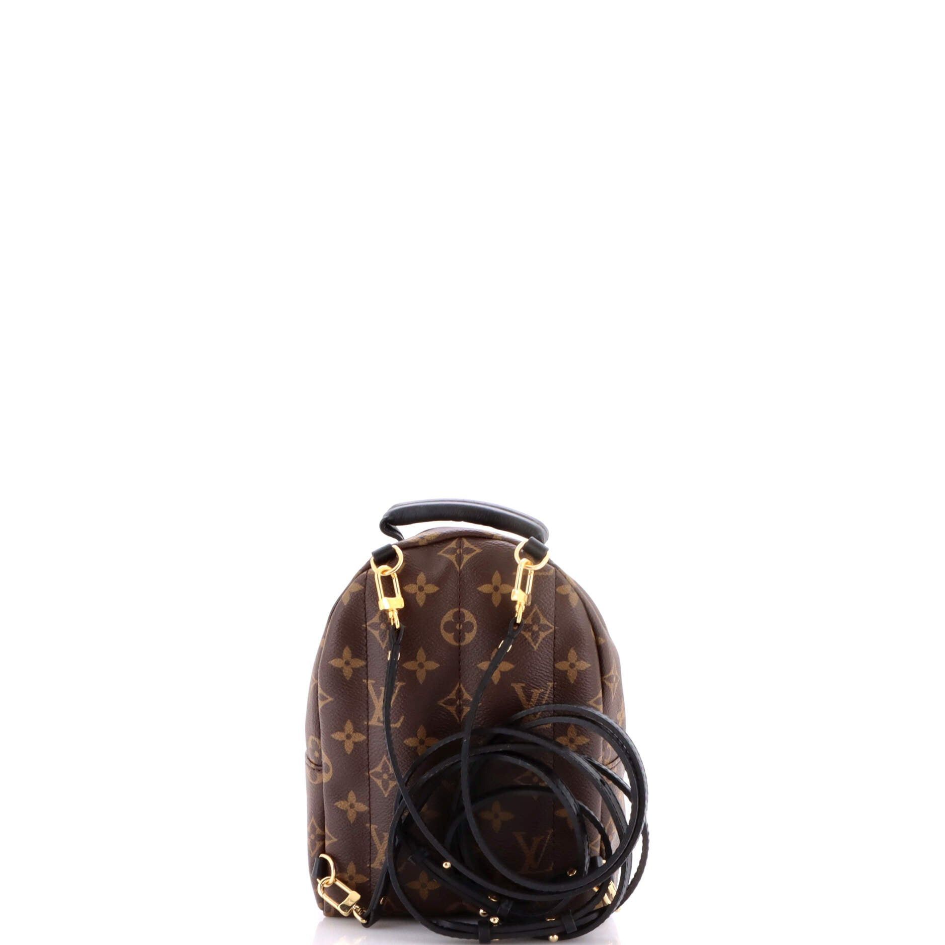 Louis Vuitton Palm Springs Backpack Size ONE SIZE - 3 Thumbnail