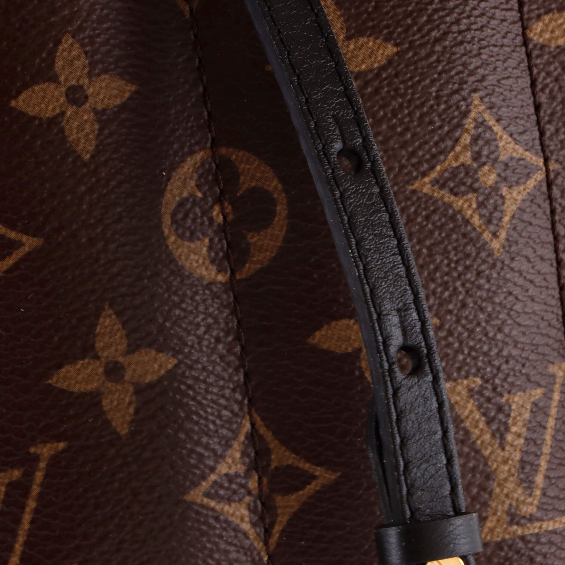 Louis Vuitton Palm Springs Backpack Size ONE SIZE - 7 Thumbnail