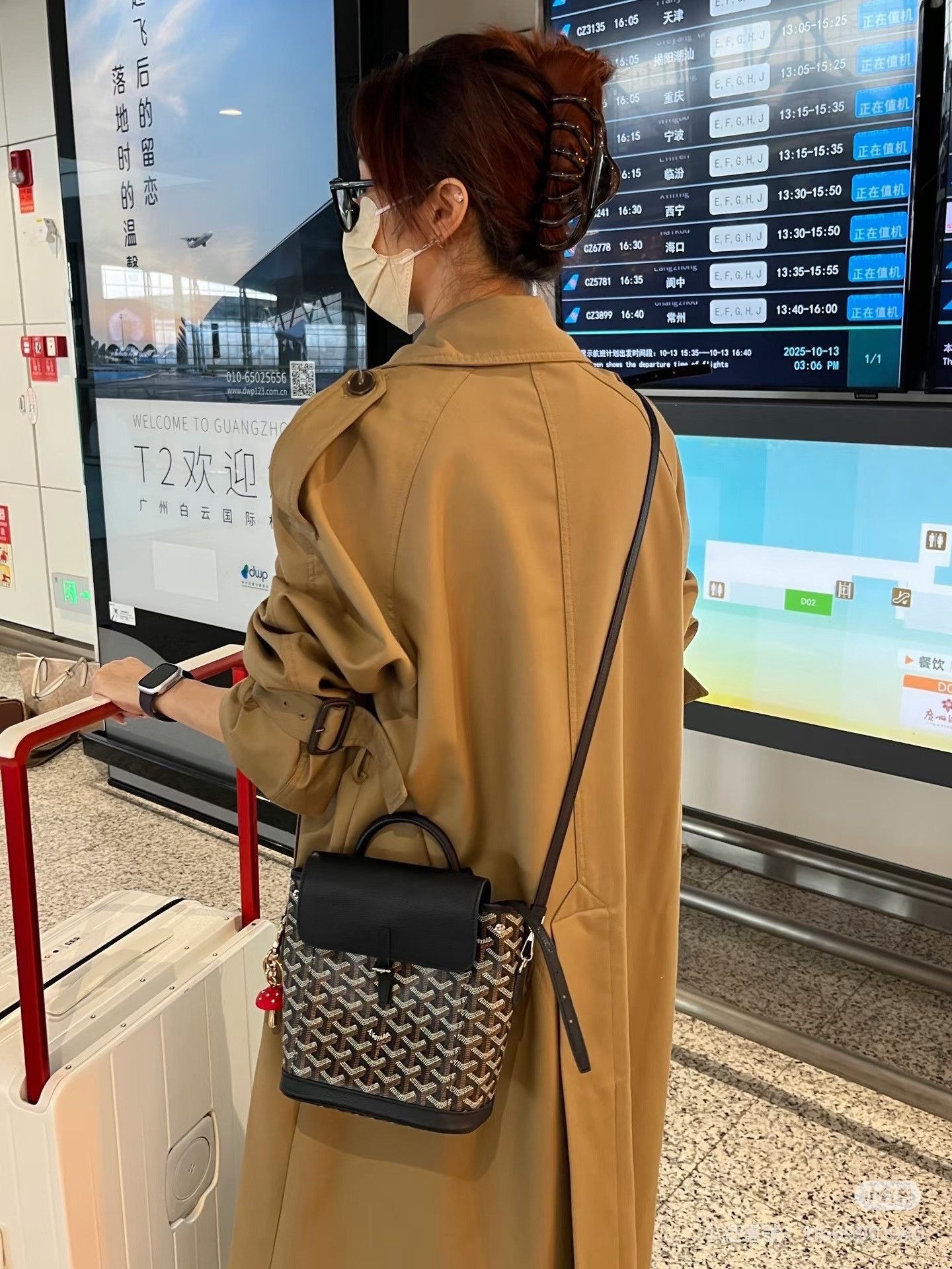 Goyard Pre-loved Bag Very good condition Size ONE SIZE - 9 Thumbnail