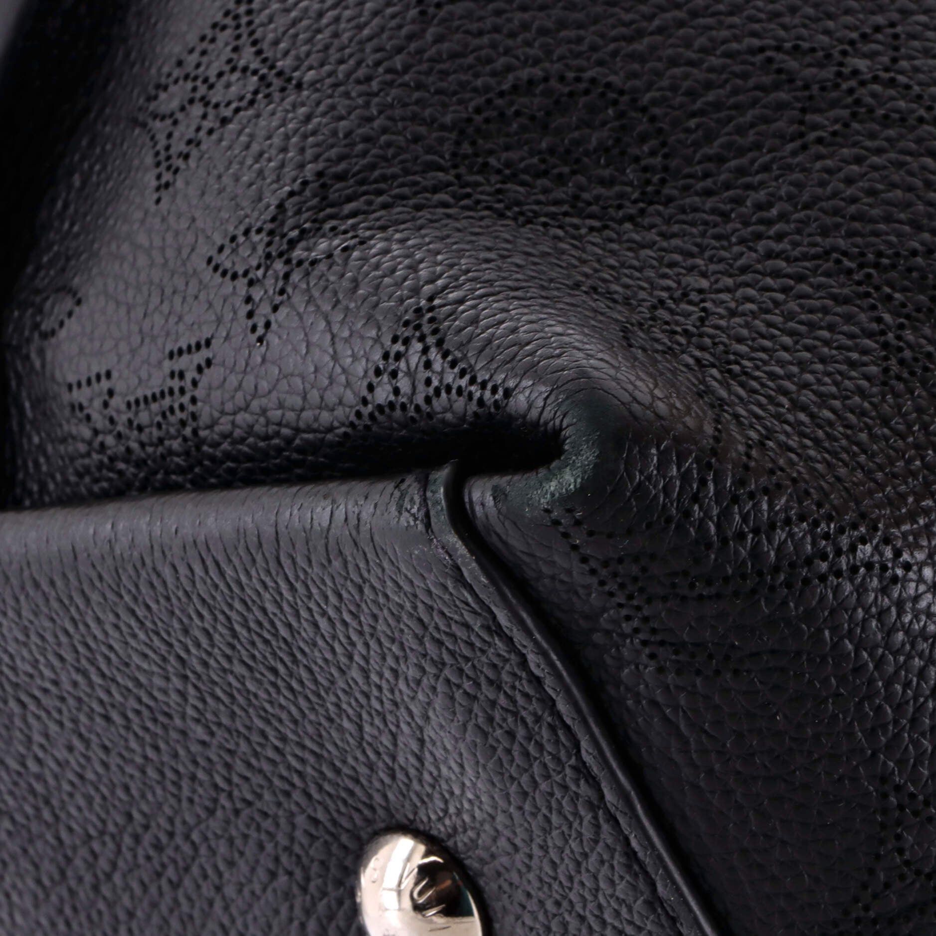 Louis Vuitton Carmel Hobo Size ONE SIZE - 6 Thumbnail