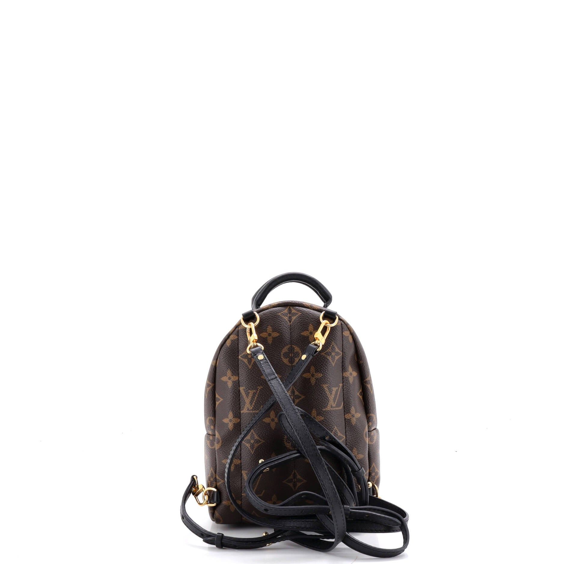 Louis Vuitton Palm Springs Backpack Size ONE SIZE - 3 Thumbnail